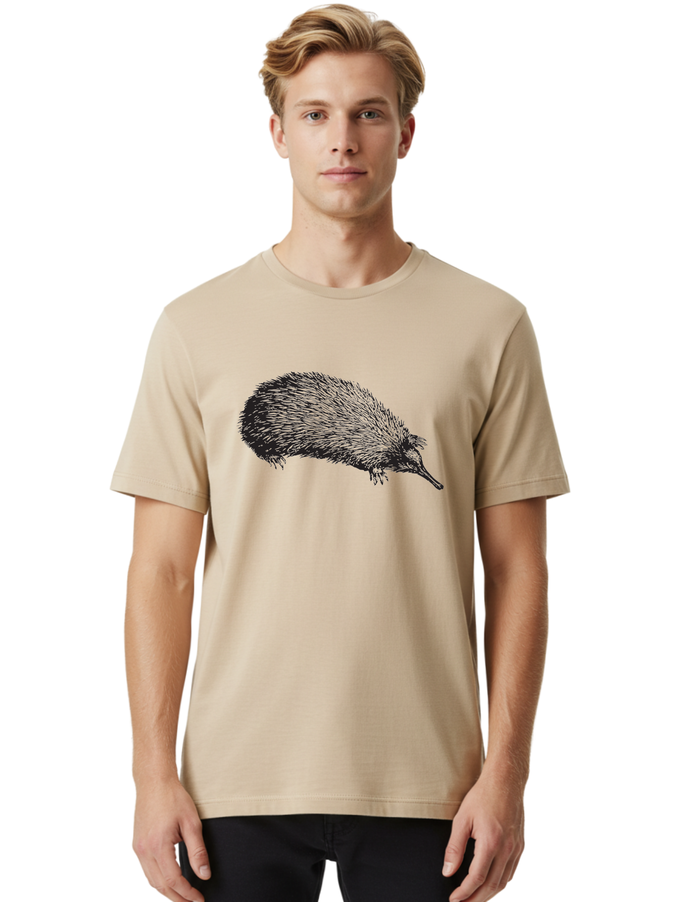 Echidna Men'S Graphic Tee, 100% Cotton, Comfortable Casual Summer Wear, Machine Washable, Echidna Illustration, Spiky Fur, Unique Creature, Wildlife Art, Animal Graphics, Spiny Mammal, Australian Wildlife, Quirky Design, Wildlife Illustration Aad876
