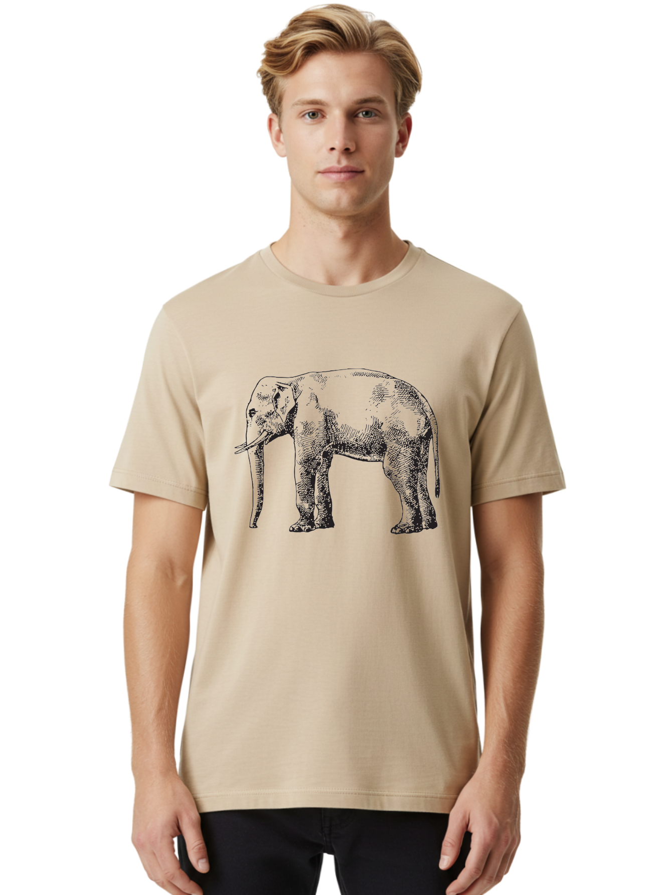 Elephant-2 Men'S Graphic Tee, 100% Cotton, Comfortable Casual Summer Wear, Machine Washable, Elephant Illustration, Wildlife Art, Black And White Drawing, Detailed Shading, Large Mammal, Trunk And Tusks, Wildlife Conservation Aad878