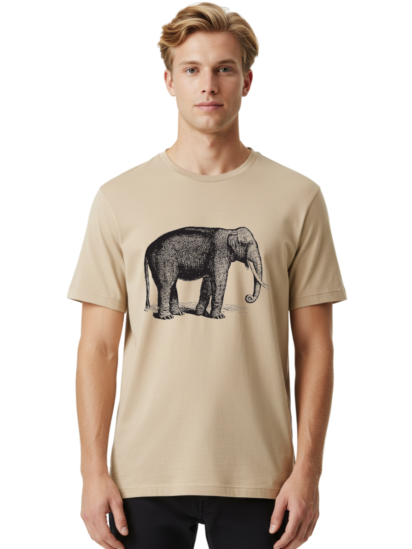Elephant-Illustration Men'S Graphic Tee, 100% Cotton, Comfortable Casual Summer Wear, Machine Washable, Large Elephant, Wild Animal, Detailed Illustration, Cross-Hatching Technique, Long Trunk, Tusks, Wildlife Art, Realistic Drawing, Aad879