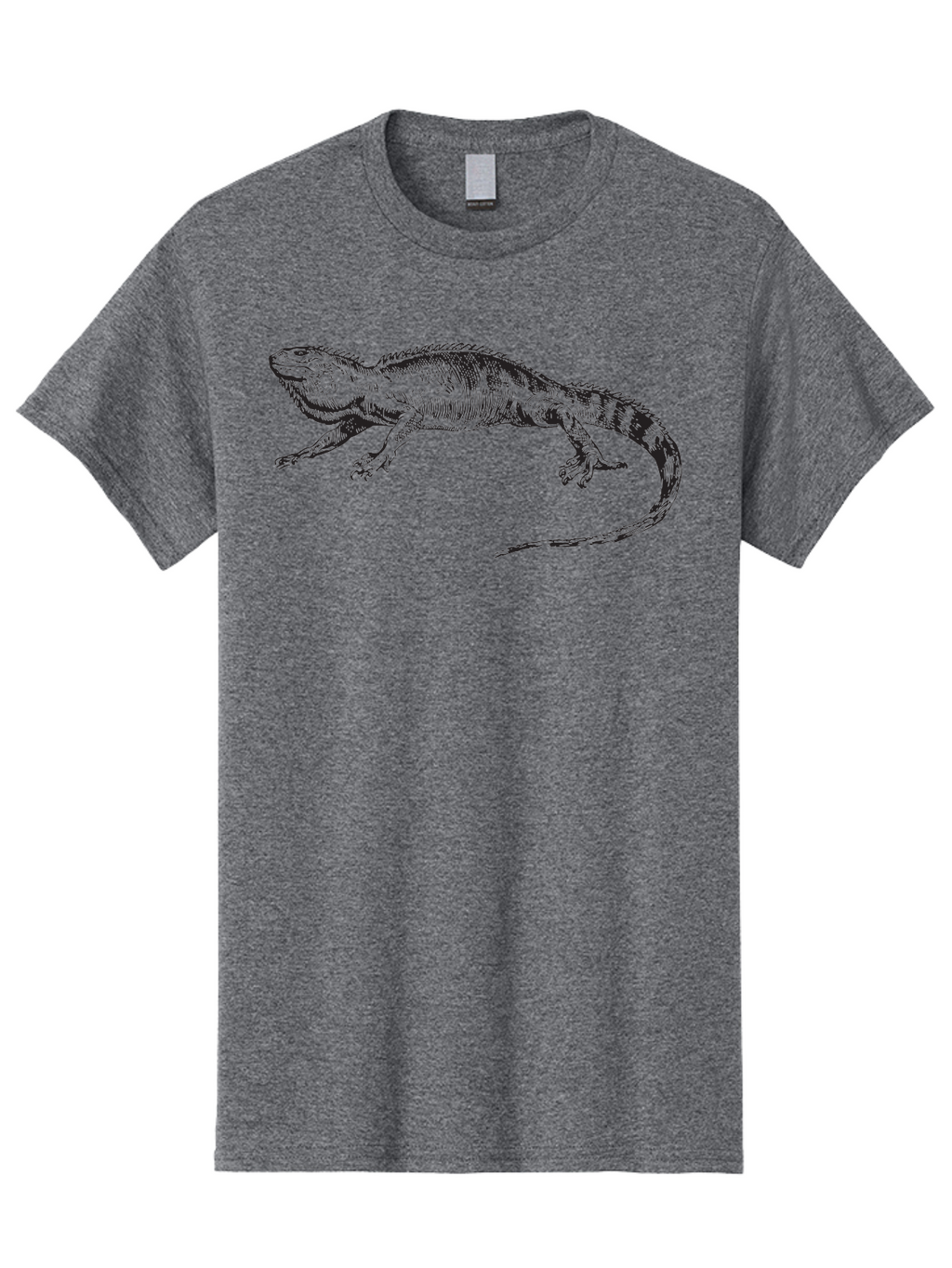 Iguana Men'S Graphic Tee, 100% Cotton, Comfortable Casual Summer Wear, Machine Washable, Lizard, Reptile, Wildlife, Animal Illustration, Detailed Drawing, Scaled Creature, Tail, Claws, Vintage Art Aad900