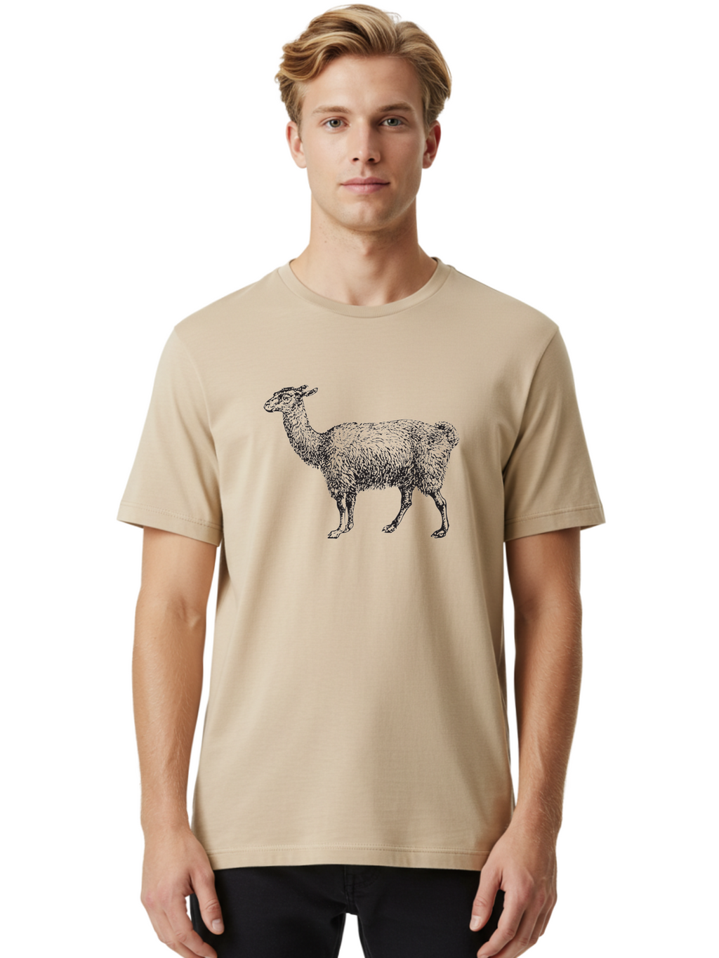 Llama Men'S Graphic Tee, 100% Cotton, Comfortable Casual Summer Wear, Machine Washable, Llama Illustration, Furry Animal, Woolly Texture, Standing Llama, Black And Green Graphic, Animal Art, Simple Design Aad912