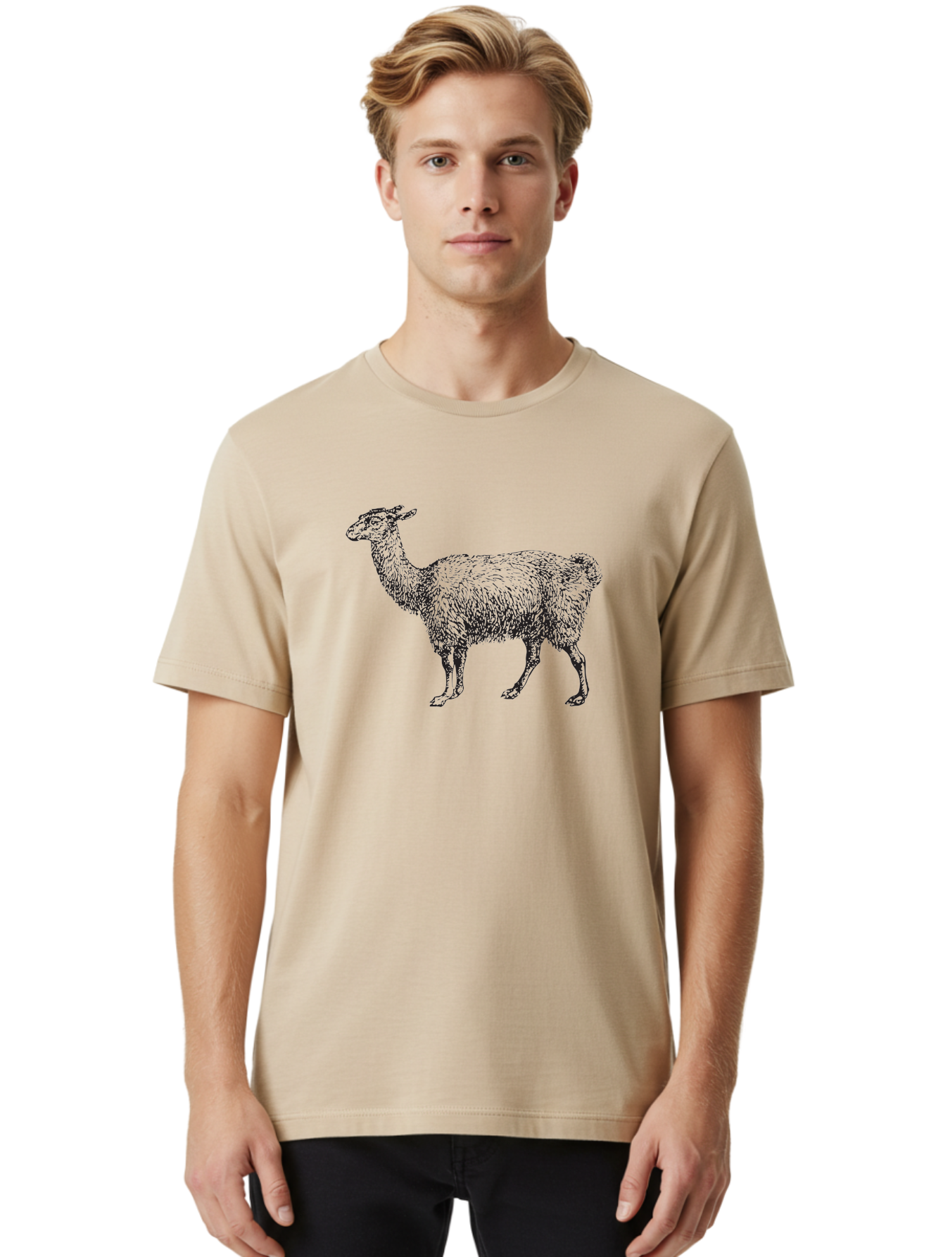 Llama Men'S Graphic Tee, 100% Cotton, Comfortable Casual Summer Wear, Machine Washable, Llama Illustration, Furry Animal, Woolly Texture, Standing Llama, Black And Green Graphic, Animal Art, Simple Design Aad912