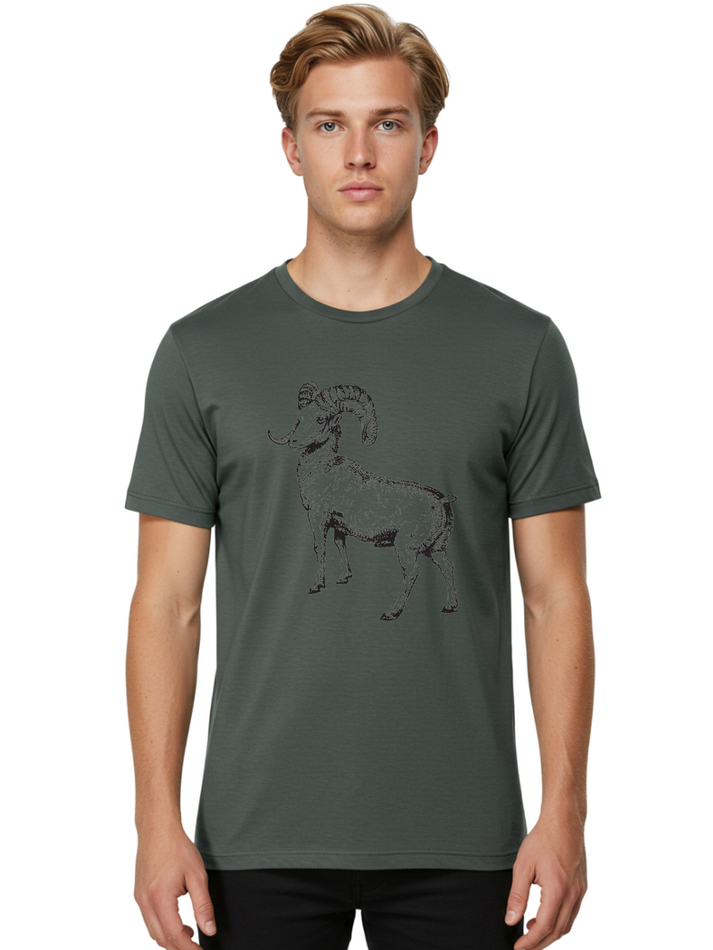 Ram Men'S Graphic Tee, 100% Cotton, Comfortable Casual Summer Wear, Machine Washable, Large Ram, Curved Horns, Wild Animal, Livestock, Farm Animal, Strong, Majestic, Nature, Wildlife, Outdoors, Rugged Aad934