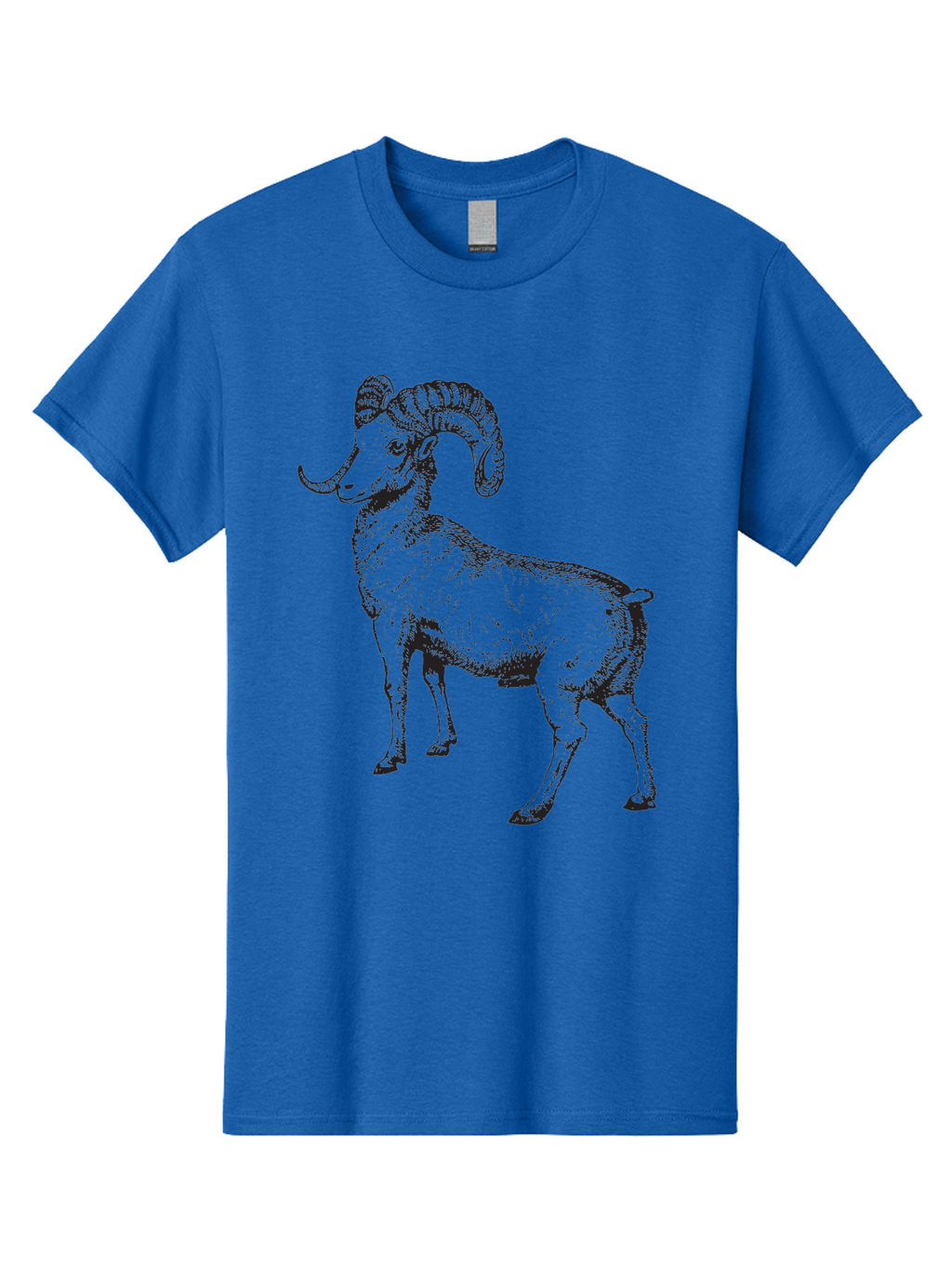 Ram Men'S Graphic Tee, 100% Cotton, Comfortable Casual Summer Wear, Machine Washable, Large Ram, Curved Horns, Wild Animal, Livestock, Farm Animal, Strong, Majestic, Nature, Wildlife, Outdoors, Rugged Aad934