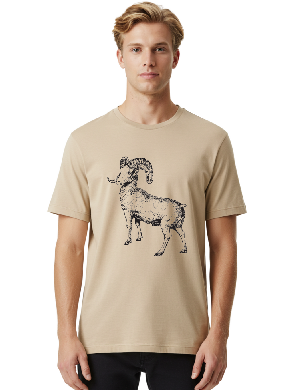 Ram Men'S Graphic Tee, 100% Cotton, Comfortable Casual Summer Wear, Machine Washable, Large Ram, Curved Horns, Wild Animal, Livestock, Farm Animal, Strong, Majestic, Nature, Wildlife, Outdoors, Rugged Aad934