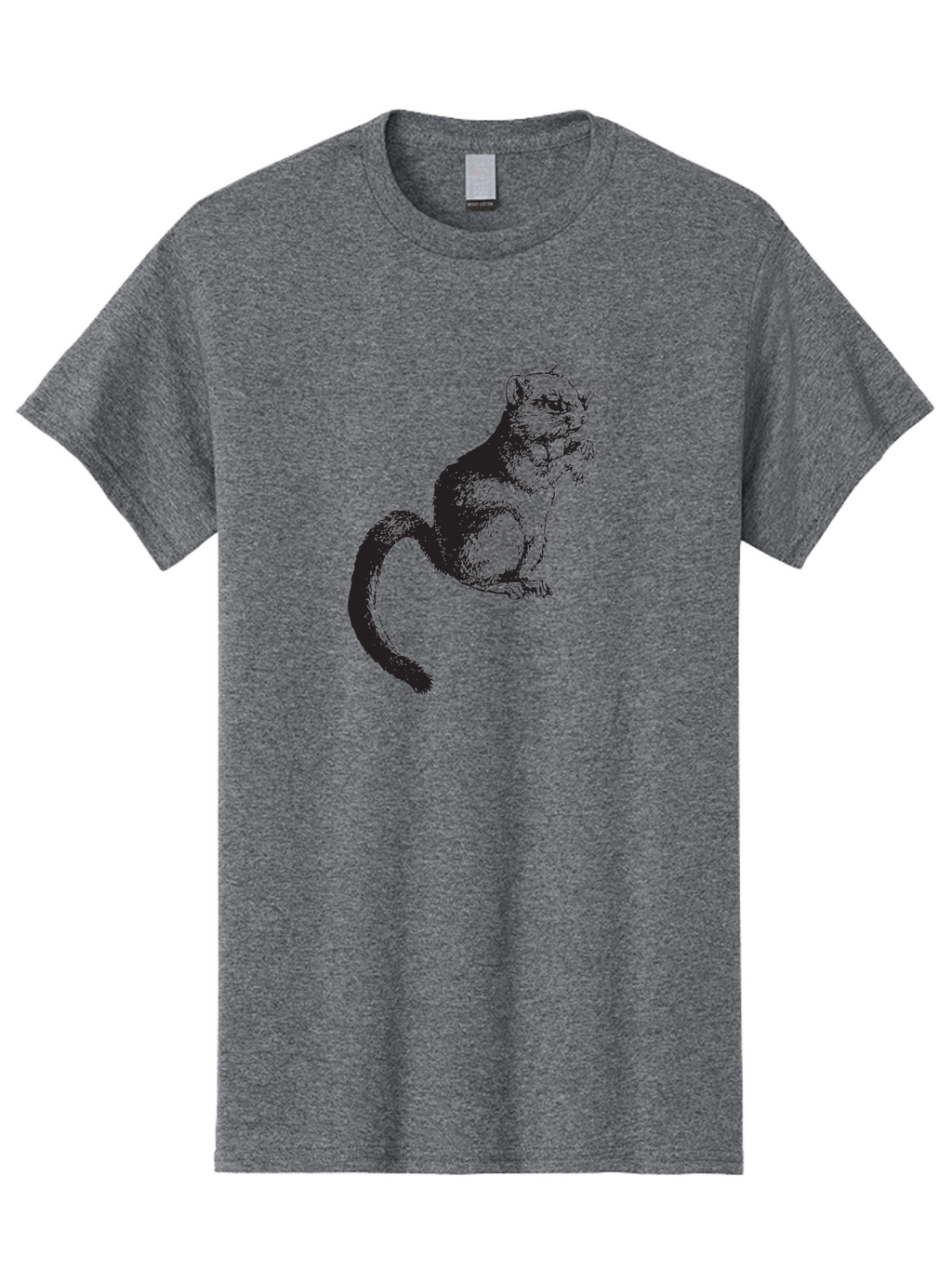 Squirrel Men'S Graphic Tee, 100% Cotton, Comfortable Casual Summer Wear, Machine Washable, Small Rodent, Furry Creature, Woodland Animal, Forest Dweller, Bushy-Tailed Mammal, Wildlife Illustration Aad957