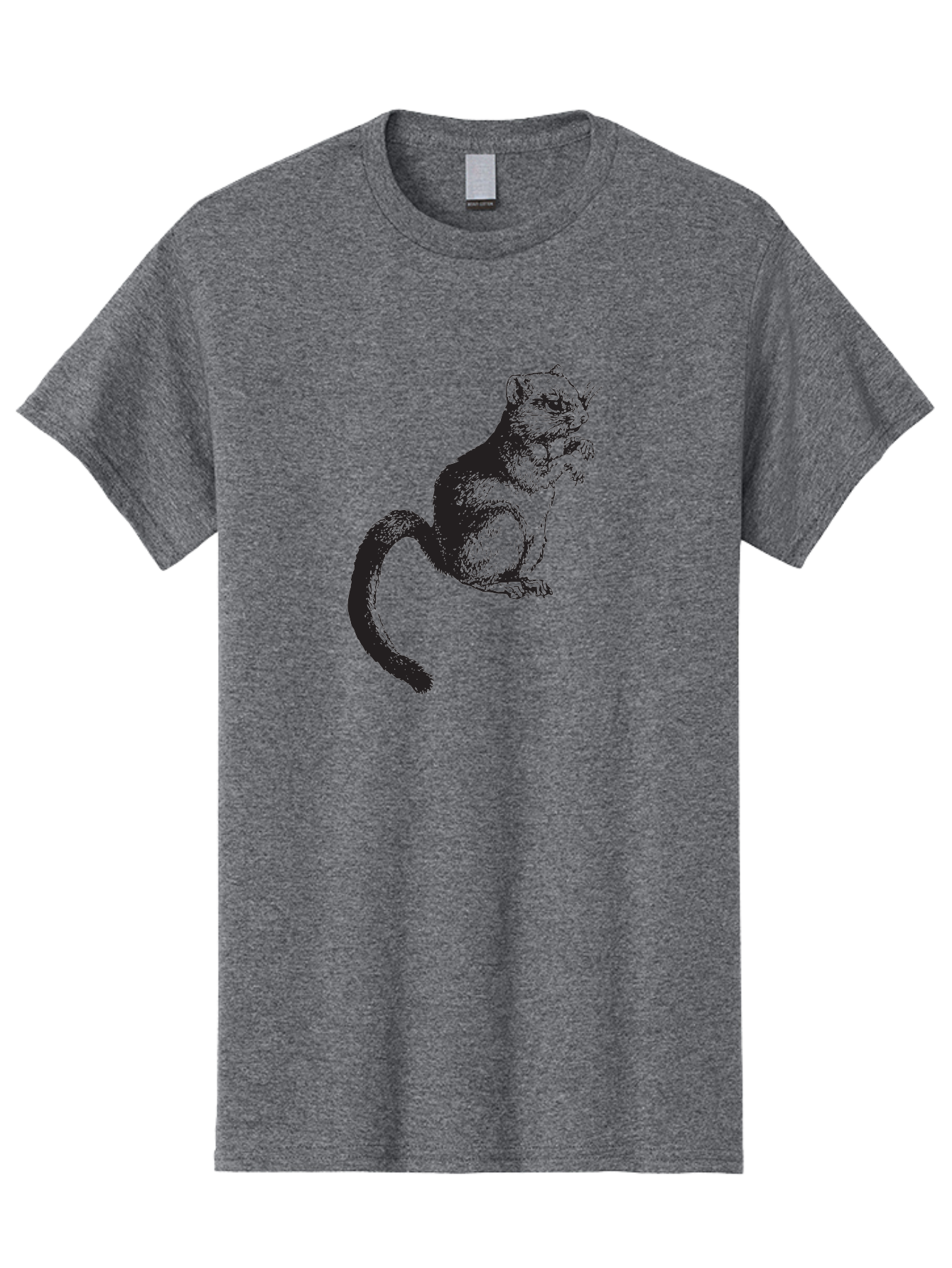 Squirrel Men'S Graphic Tee, 100% Cotton, Comfortable Casual Summer Wear, Machine Washable, Small Rodent, Furry Creature, Woodland Animal, Forest Dweller, Bushy-Tailed Mammal, Wildlife Illustration Aad957