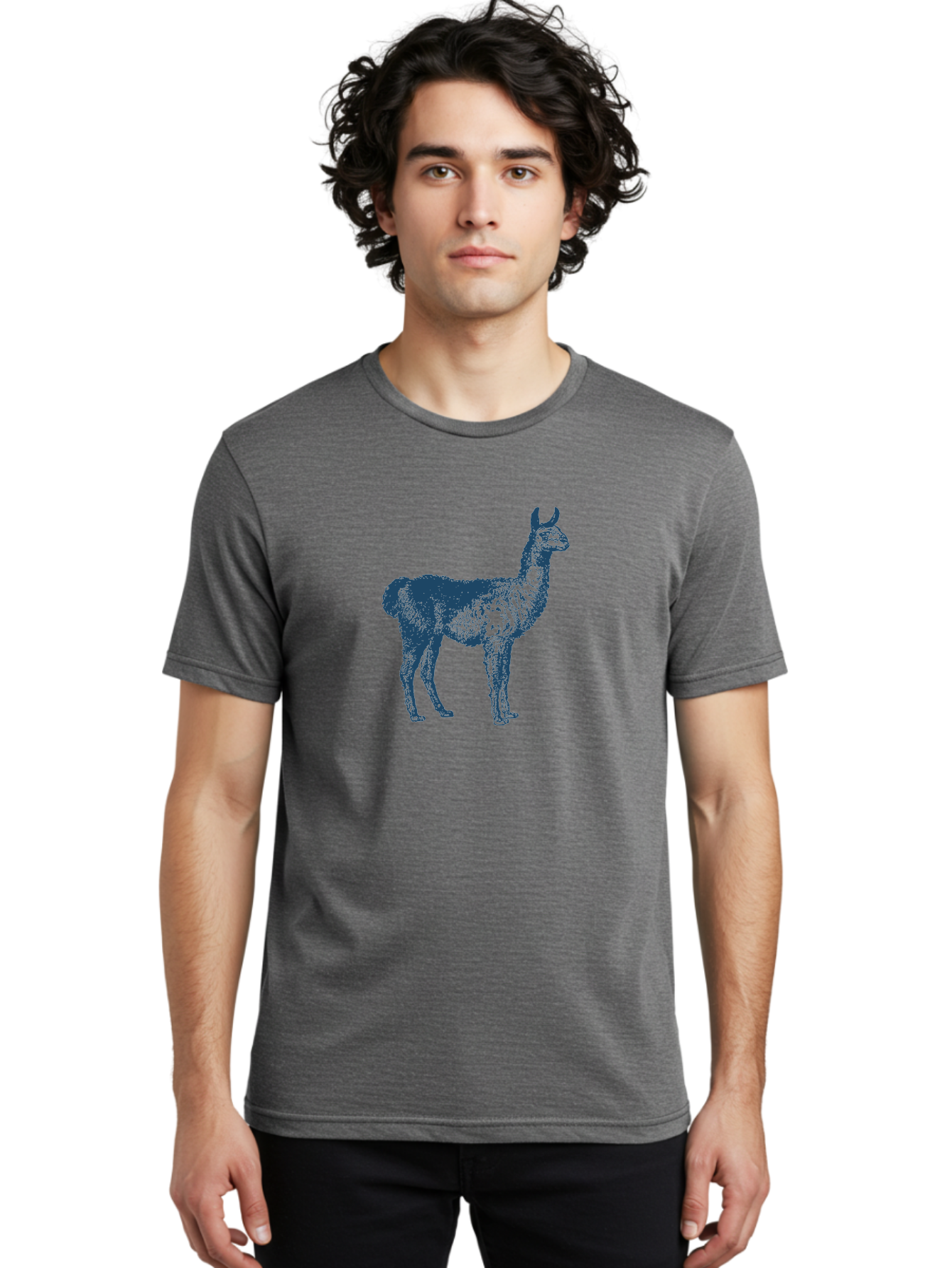 Alto Llama Men'S Graphic Tee, 100% Cotton, Comfortable Casual Summer Wear, Machine Washable, Llama Illustration, Stylized Animal Art, Vibrant Colors, Abstract Design, Modern Graphic, Wildlife Inspiration, Artistic Expression, Camelid Species Aae099