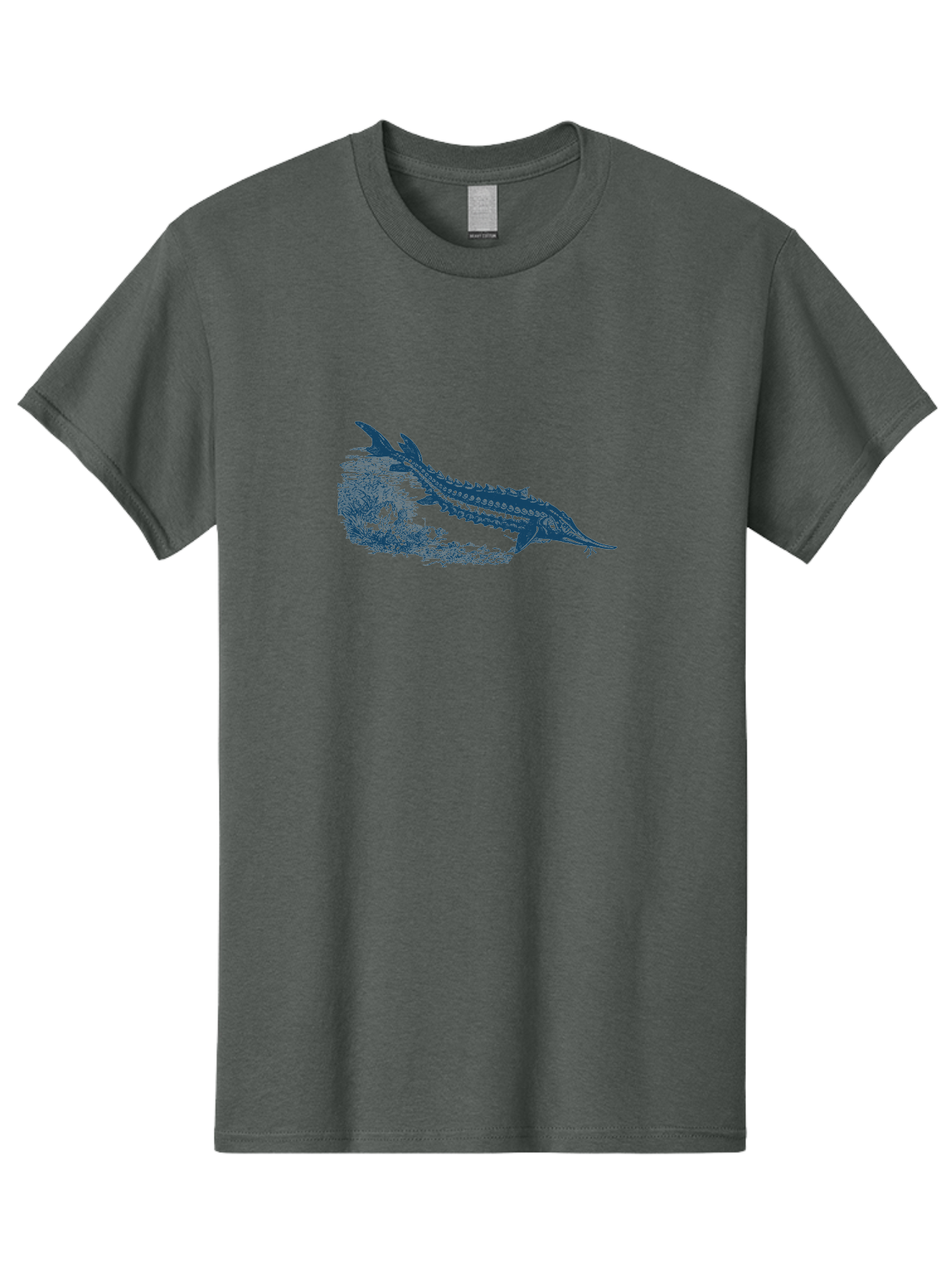 Ancient River Fish Men'S Graphic Tee, 100% Cotton, Comfortable Casual Summer Wear, Machine Washable, Sturgeon Fish, Aquatic Life, Marine Biology, Fish Illustration, Detailed Drawing, Underwater World, Wildlife Art Aae103