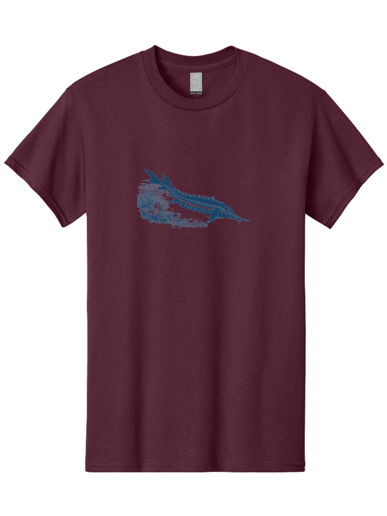 Ancient River Fish Men'S Graphic Tee, 100% Cotton, Comfortable Casual Summer Wear, Machine Washable, Sturgeon Fish, Aquatic Life, Marine Biology, Fish Illustration, Detailed Drawing, Underwater World, Wildlife Art Aae103