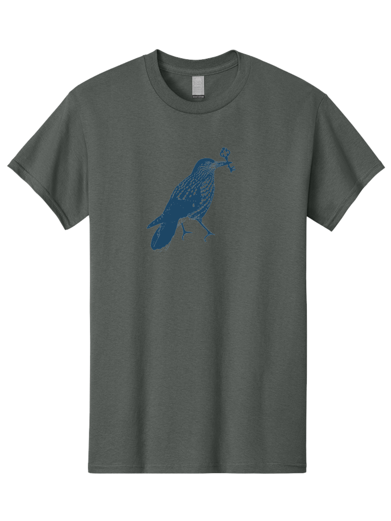 Bird-With-Key 2 Men'S Graphic Tee, 100% Cotton, Comfortable Casual Summer Wear, Machine Washable, Bluebird Holding Key, Bird Silhouette, Symbolic Bird, Mysterious Key, Spotted Bird, Avian Art, Esoteric Symbol, Ornate Key Aae144