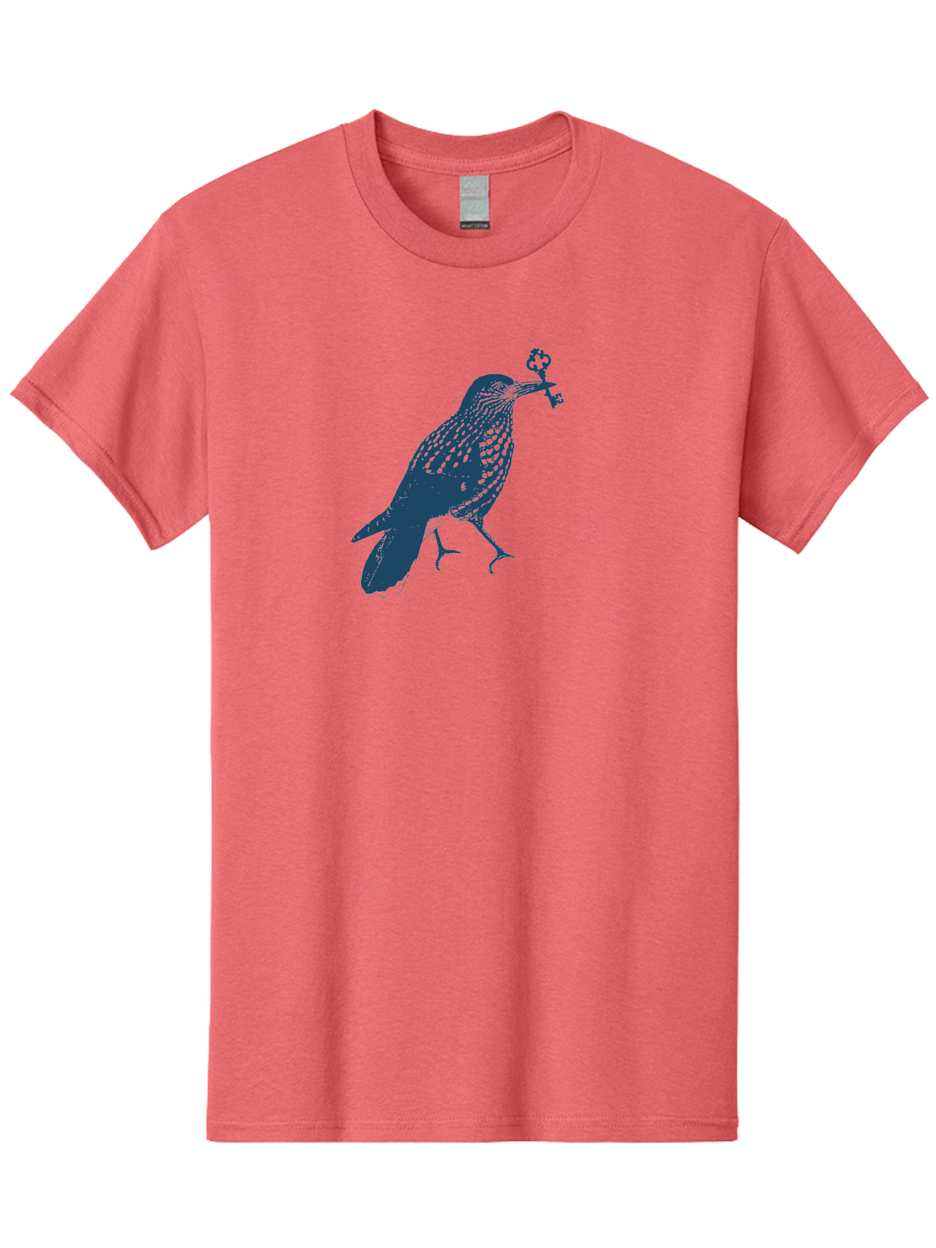 Bird-With-Key 2 Men'S Graphic Tee, 100% Cotton, Comfortable Casual Summer Wear, Machine Washable, Bluebird Holding Key, Bird Silhouette, Symbolic Bird, Mysterious Key, Spotted Bird, Avian Art, Esoteric Symbol, Ornate Key Aae144