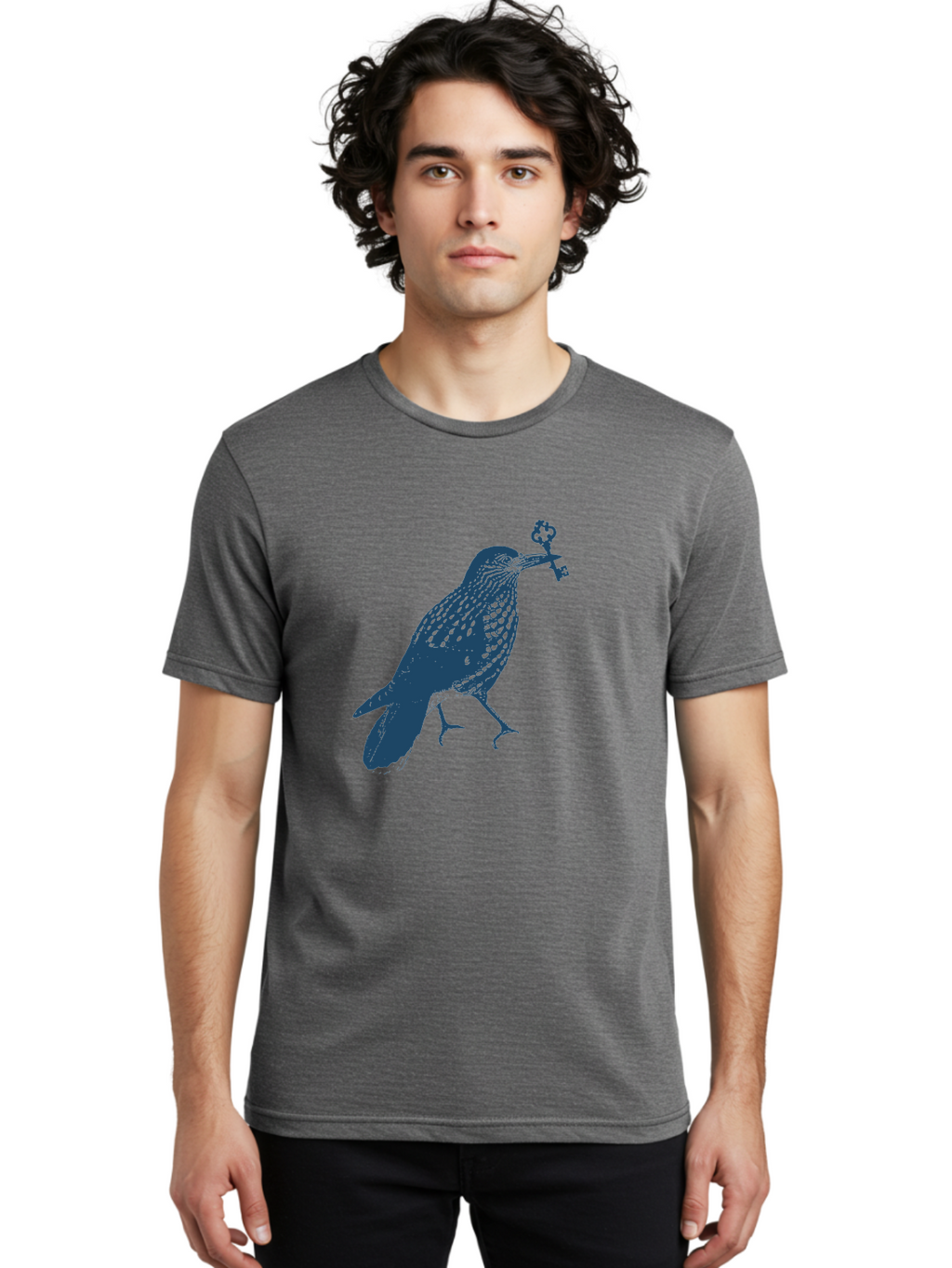 Bird-With-Key 2 Men'S Graphic Tee, 100% Cotton, Comfortable Casual Summer Wear, Machine Washable, Bluebird Holding Key, Bird Silhouette, Symbolic Bird, Mysterious Key, Spotted Bird, Avian Art, Esoteric Symbol, Ornate Key Aae144
