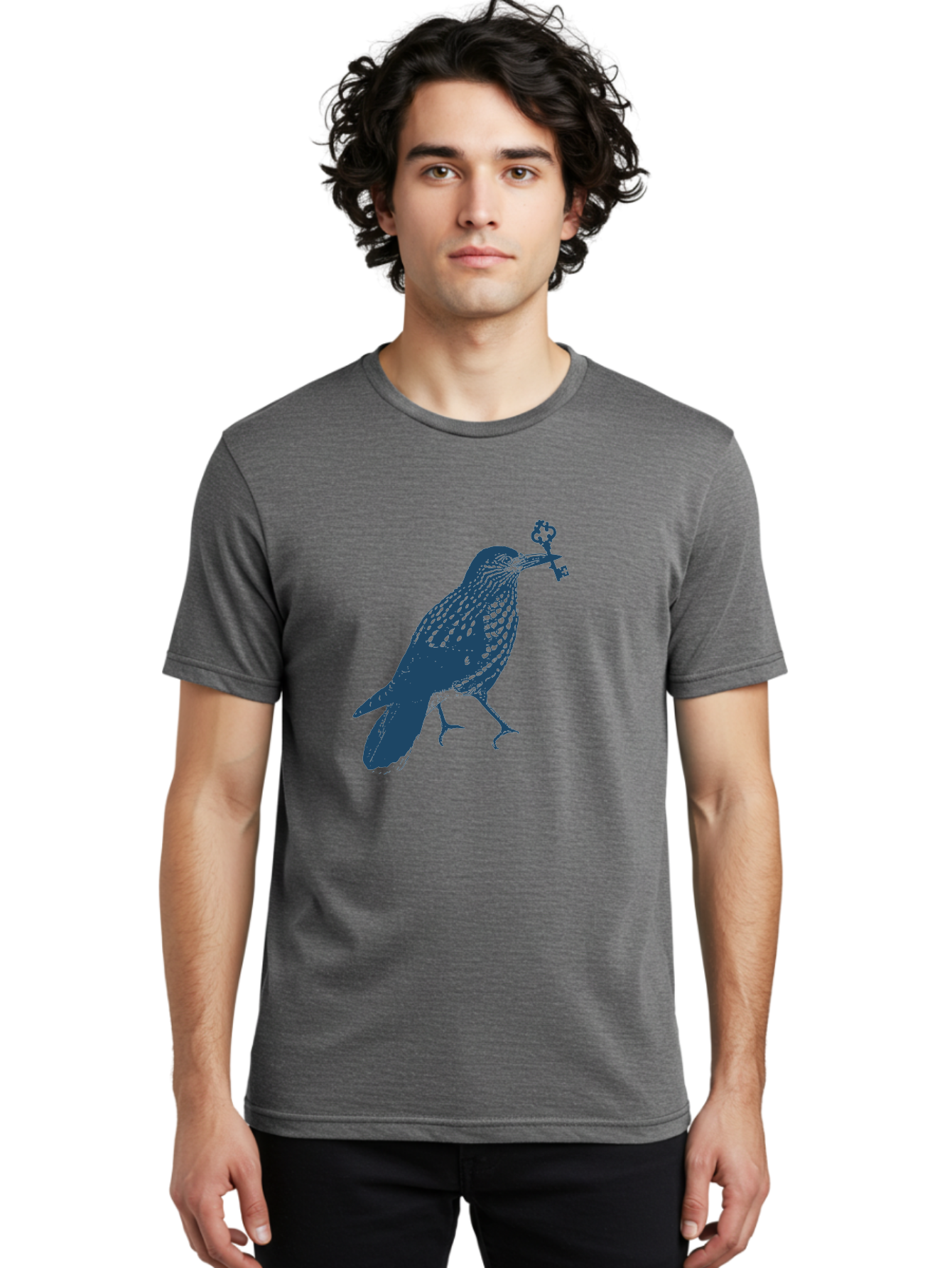 Bird-With-Key 2 Men'S Graphic Tee, 100% Cotton, Comfortable Casual Summer Wear, Machine Washable, Bluebird Holding Key, Bird Silhouette, Symbolic Bird, Mysterious Key, Spotted Bird, Avian Art, Esoteric Symbol, Ornate Key Aae144