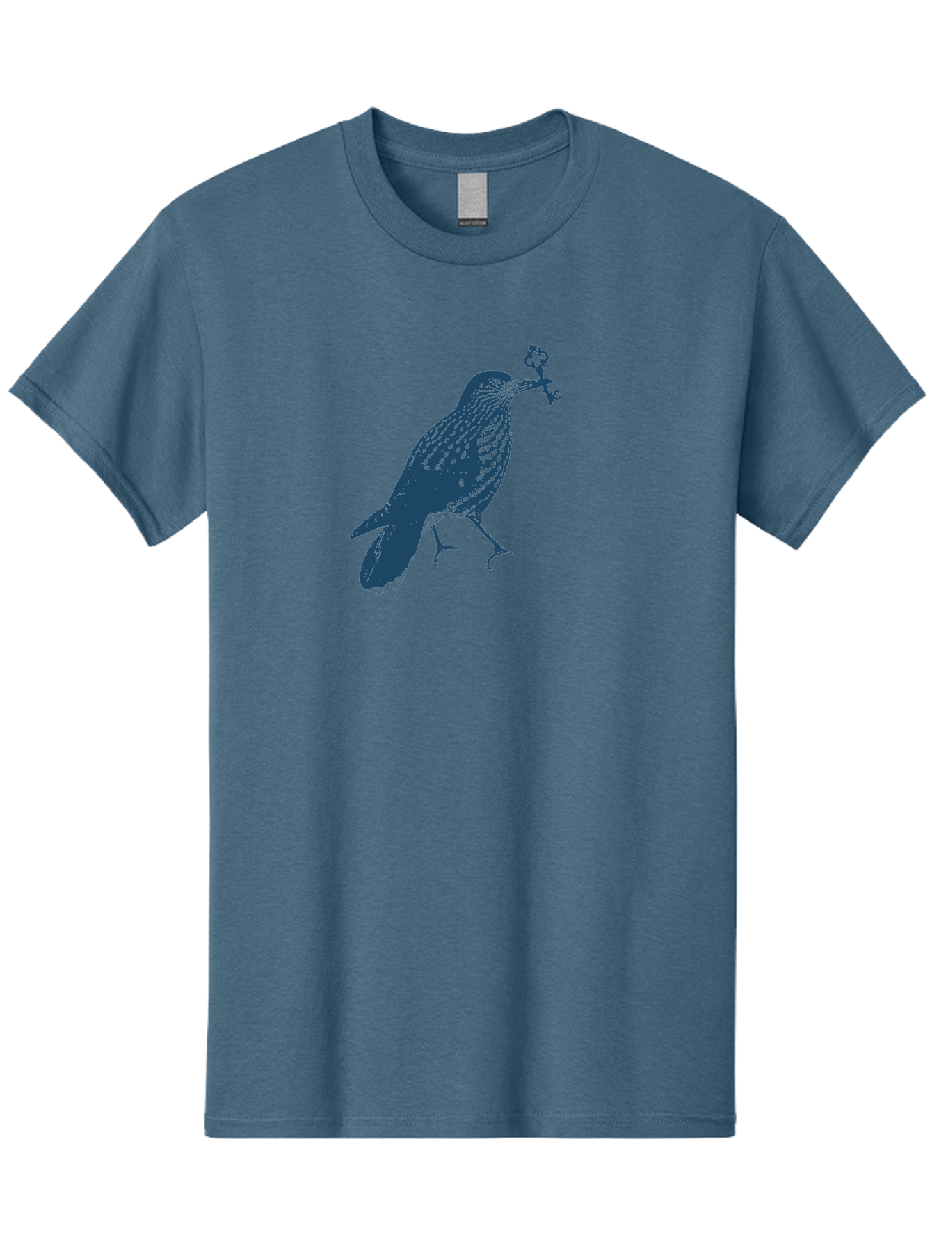 Bird-With-Key 2 Men'S Graphic Tee, 100% Cotton, Comfortable Casual Summer Wear, Machine Washable, Bluebird Holding Key, Bird Silhouette, Symbolic Bird, Mysterious Key, Spotted Bird, Avian Art, Esoteric Symbol, Ornate Key Aae144