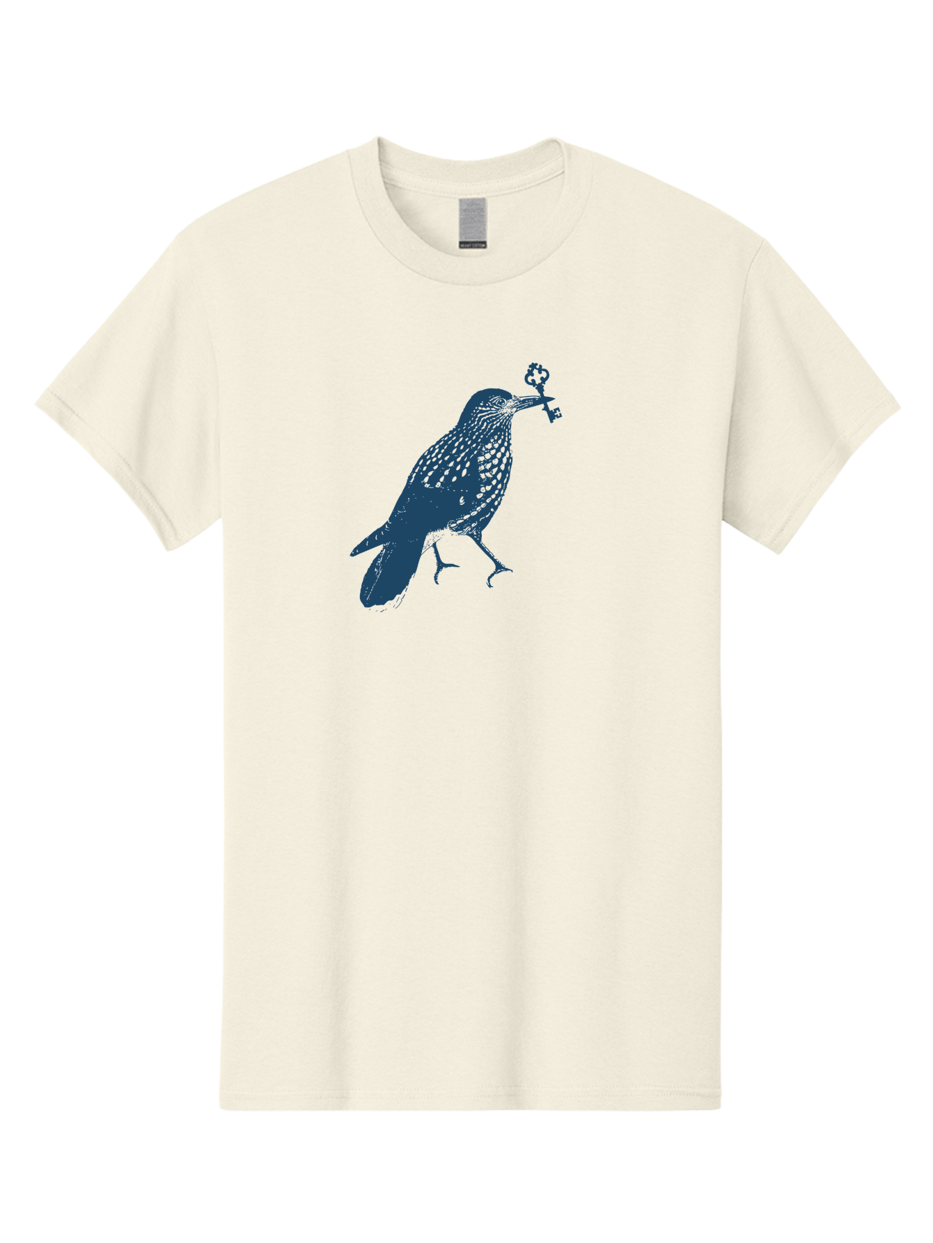 Bird-With-Key 2 Men'S Graphic Tee, 100% Cotton, Comfortable Casual Summer Wear, Machine Washable, Bluebird Holding Key, Bird Silhouette, Symbolic Bird, Mysterious Key, Spotted Bird, Avian Art, Esoteric Symbol, Ornate Key Aae144