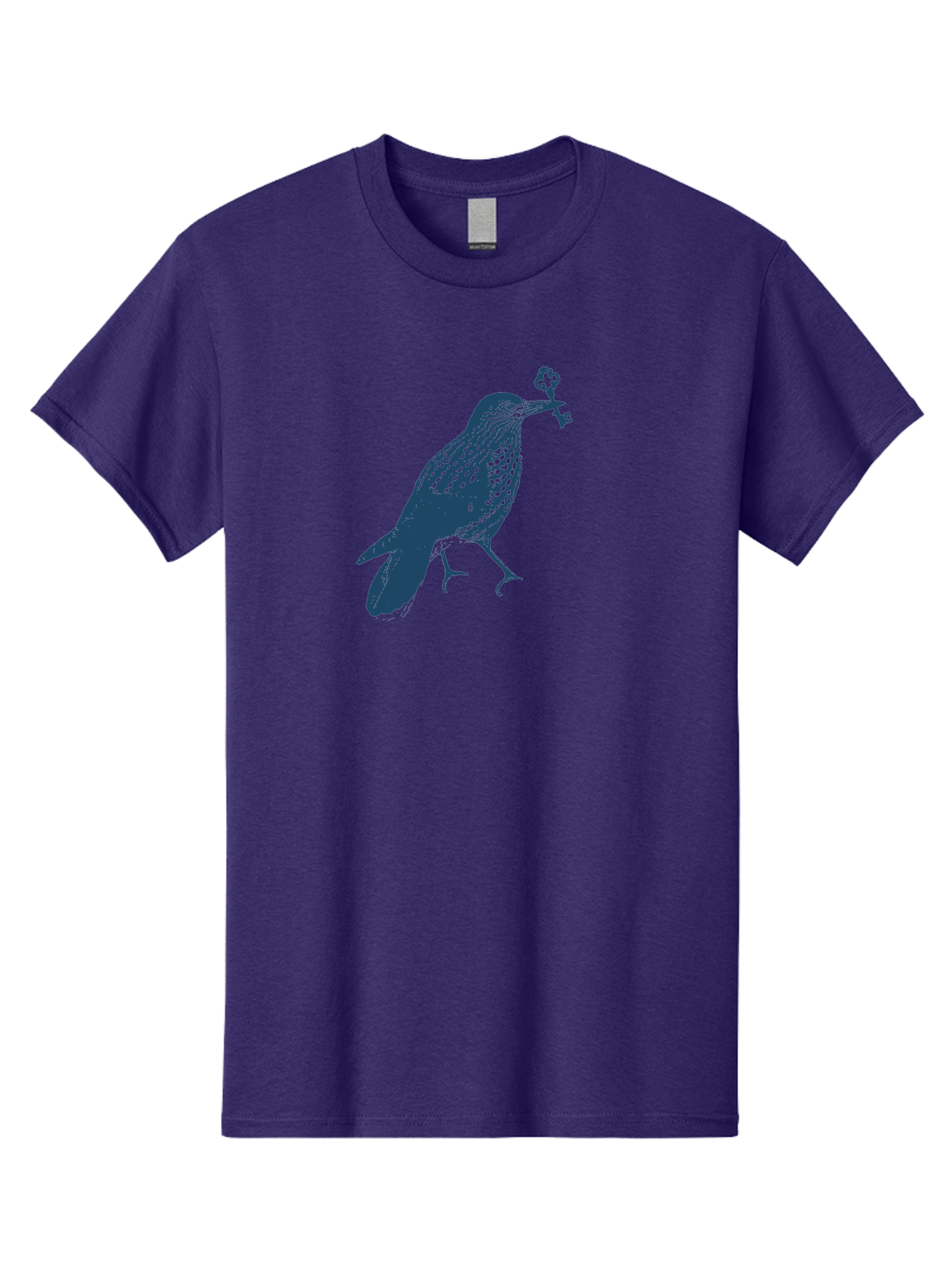 Bird-With-Key 2 Men'S Graphic Tee, 100% Cotton, Comfortable Casual Summer Wear, Machine Washable, Bluebird Holding Key, Bird Silhouette, Symbolic Bird, Mysterious Key, Spotted Bird, Avian Art, Esoteric Symbol, Ornate Key Aae144