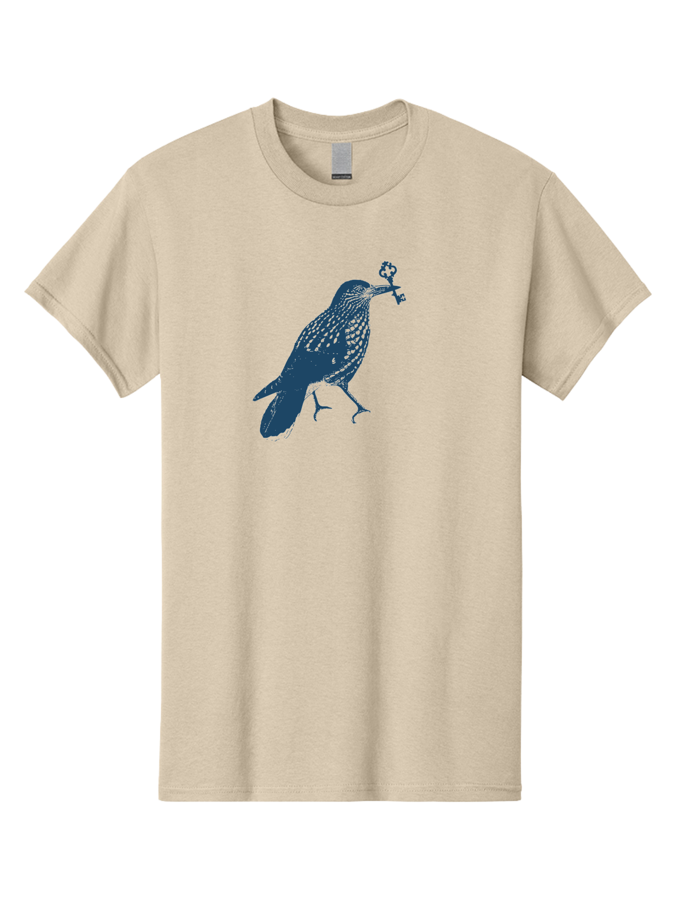 Bird-With-Key 2 Men'S Graphic Tee, 100% Cotton, Comfortable Casual Summer Wear, Machine Washable, Bluebird Holding Key, Bird Silhouette, Symbolic Bird, Mysterious Key, Spotted Bird, Avian Art, Esoteric Symbol, Ornate Key Aae144