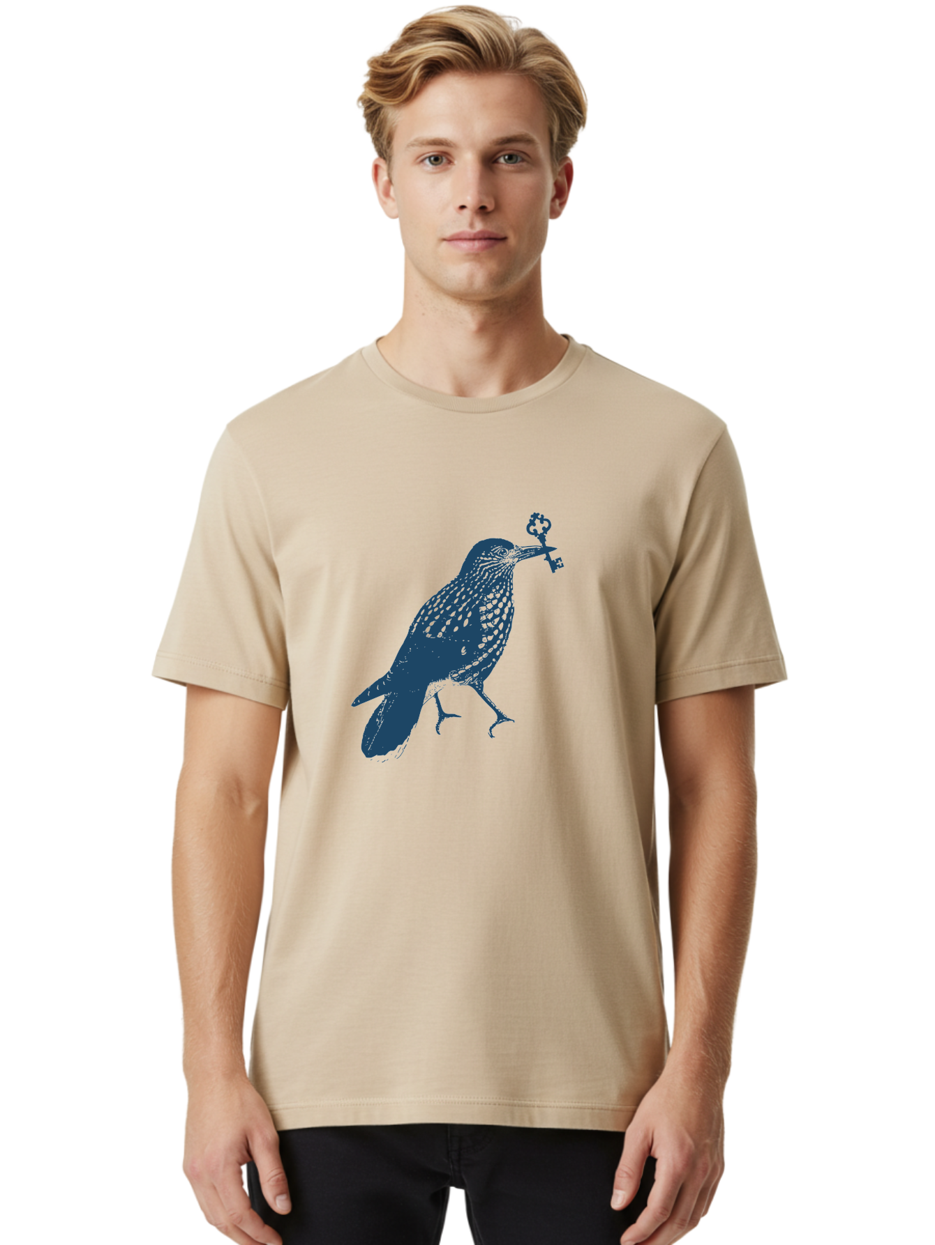 Bird-With-Key 2 Men'S Graphic Tee, 100% Cotton, Comfortable Casual Summer Wear, Machine Washable, Bluebird Holding Key, Bird Silhouette, Symbolic Bird, Mysterious Key, Spotted Bird, Avian Art, Esoteric Symbol, Ornate Key Aae144