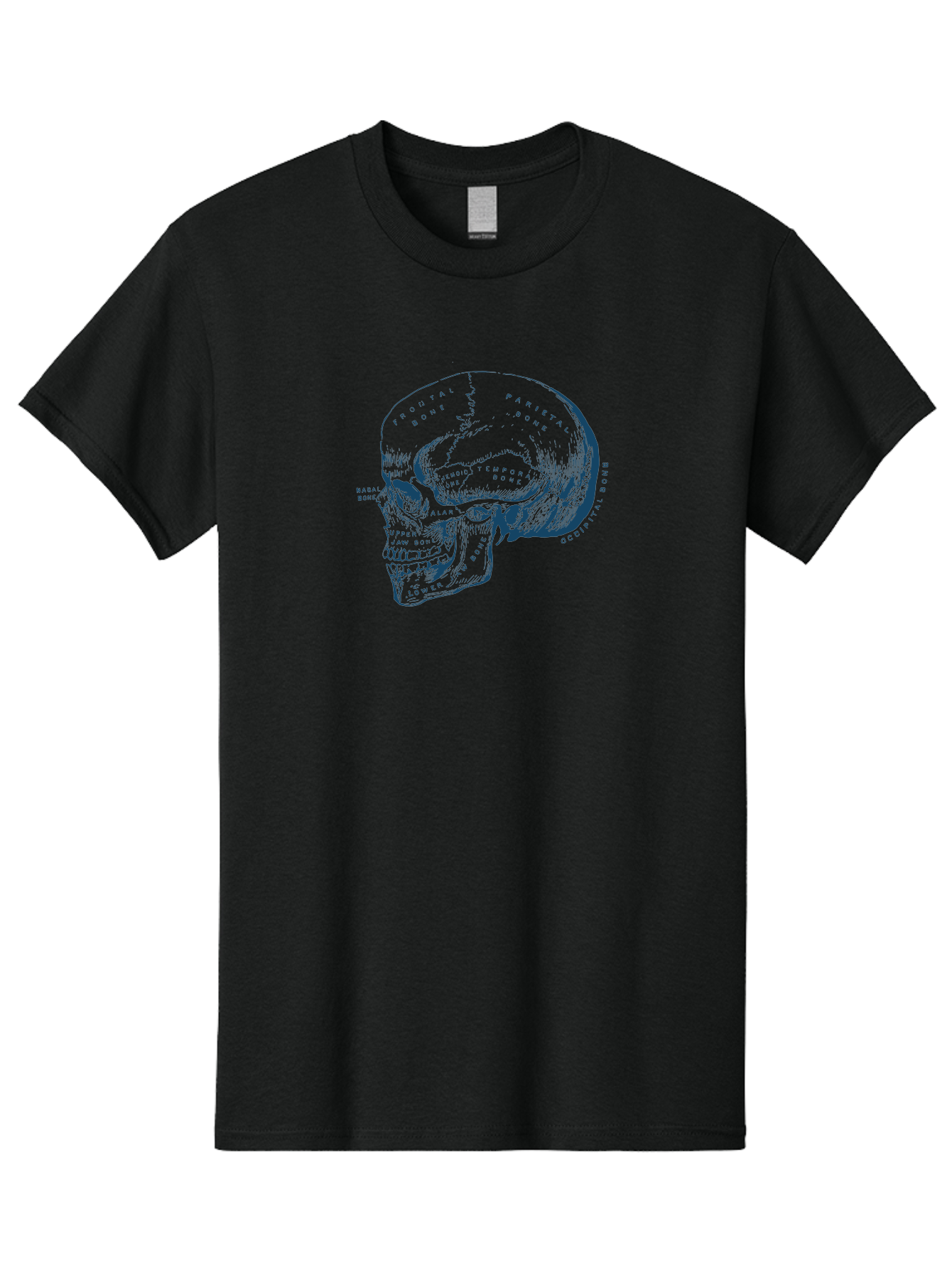 Blueprint Skull Men'S Graphic Tee, 100% Cotton, Comfortable Casual Summer Wear, Machine Washable, Human Skull, Anatomical Diagram, Labeled Bones, Frontal Bone, Parietal Bone, Occipital Bone, Temporal Bone, Jaw Bone, Medical Illustration, Aae151