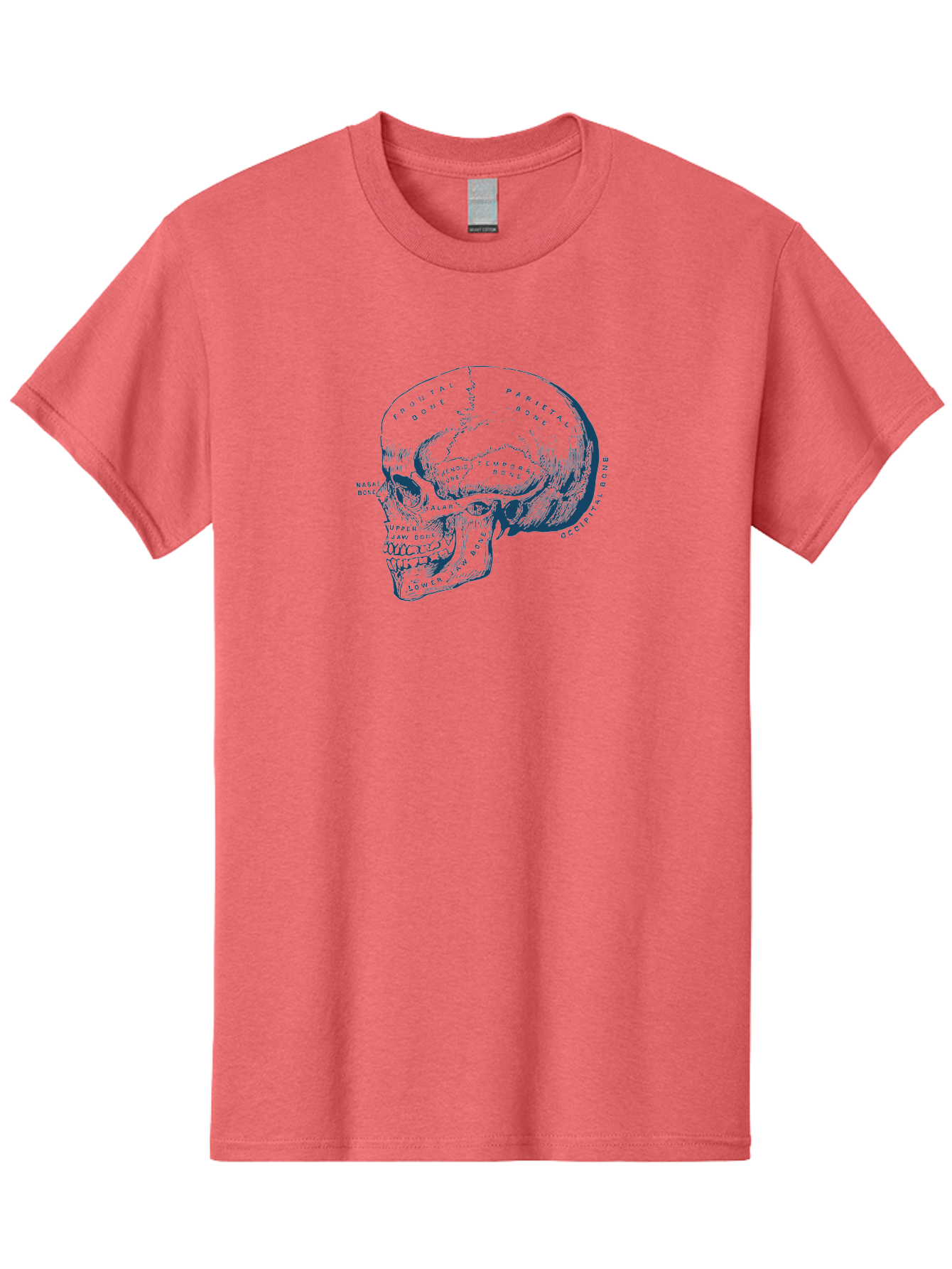 Blueprint Skull Men'S Graphic Tee, 100% Cotton, Comfortable Casual Summer Wear, Machine Washable, Human Skull, Anatomical Diagram, Labeled Bones, Frontal Bone, Parietal Bone, Occipital Bone, Temporal Bone, Jaw Bone, Medical Illustration, Aae151