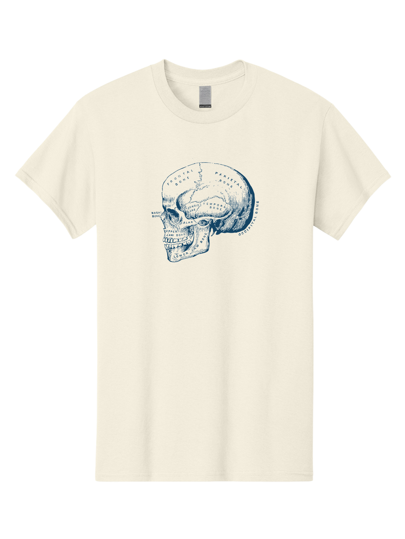 Blueprint Skull Men'S Graphic Tee, 100% Cotton, Comfortable Casual Summer Wear, Machine Washable, Human Skull, Anatomical Diagram, Labeled Bones, Frontal Bone, Parietal Bone, Occipital Bone, Temporal Bone, Jaw Bone, Medical Illustration, Aae151