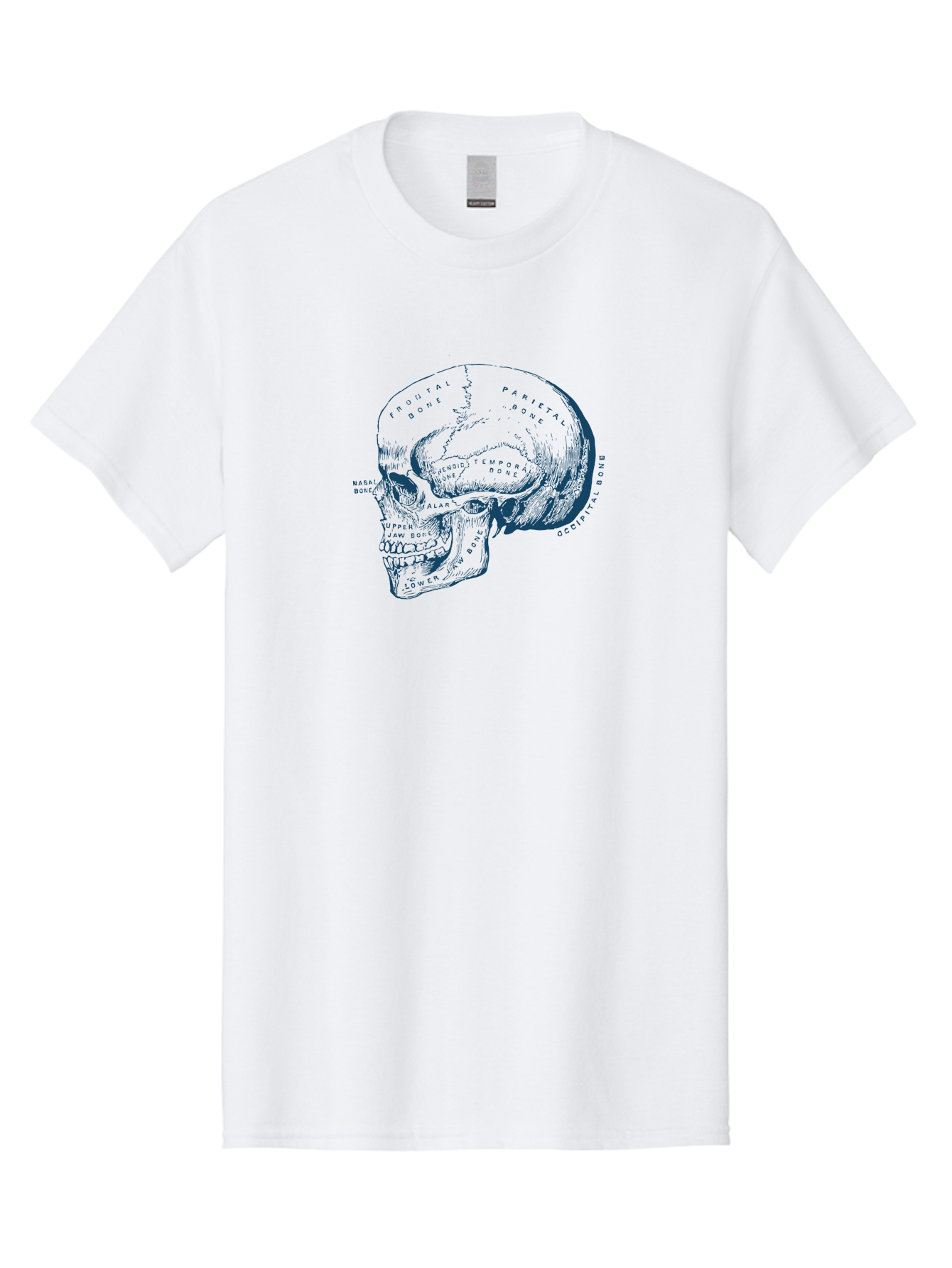 Blueprint Skull Men'S Graphic Tee, 100% Cotton, Comfortable Casual Summer Wear, Machine Washable, Human Skull, Anatomical Diagram, Labeled Bones, Frontal Bone, Parietal Bone, Occipital Bone, Temporal Bone, Jaw Bone, Medical Illustration, Aae151