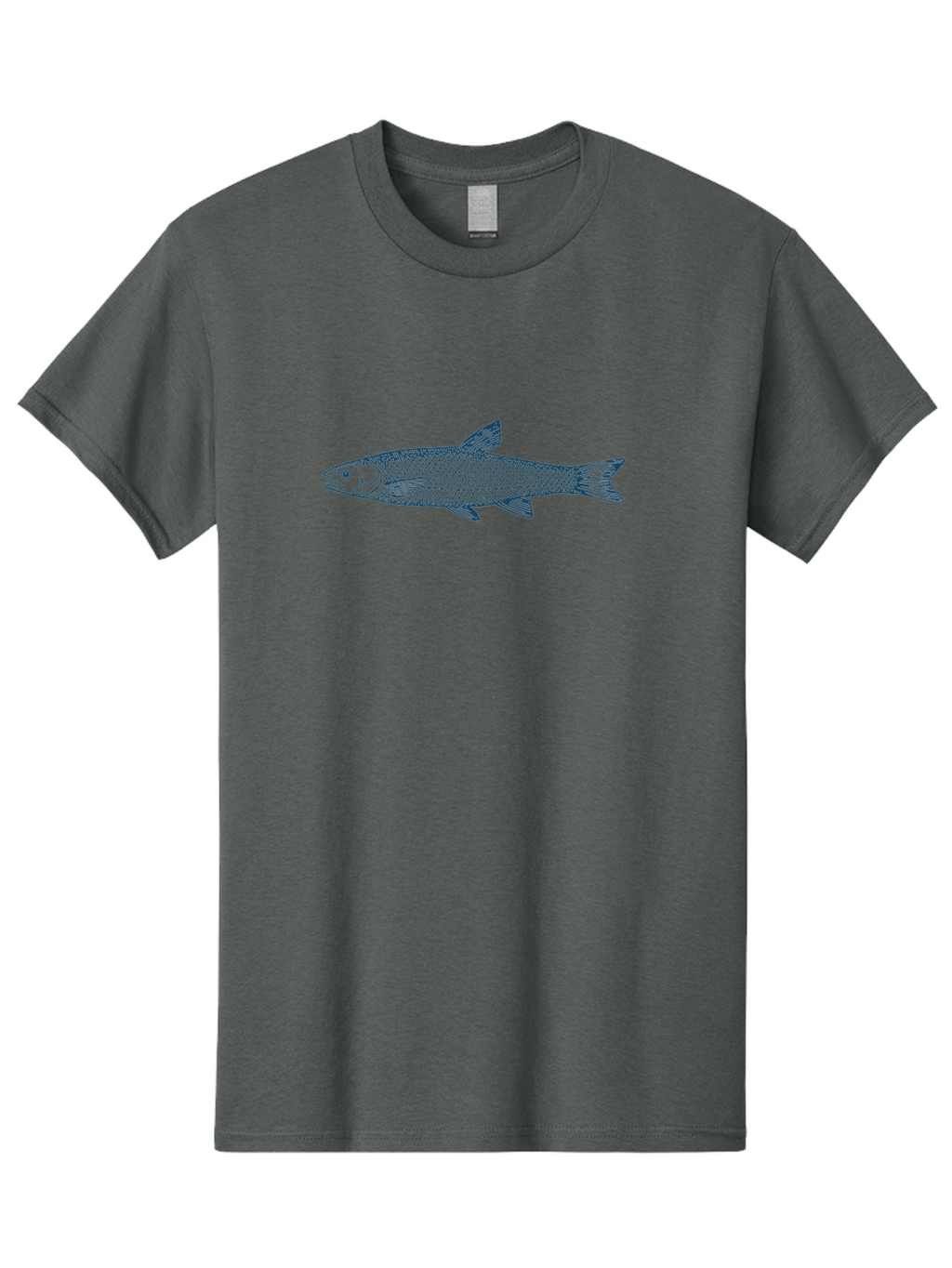 Silent Fin Men'S Graphic Tee, 100% Cotton, Comfortable Casual Summer Wear, Machine Washable, Illustration Of A Fish, Fish Drawing, Aquatic Life, Marine Biology, Detailed Scales, Fins, Tail, Underwater Creature, Wildlife Art Aae643