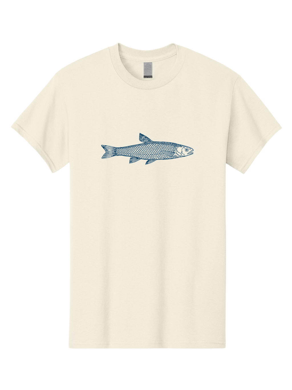 Silverline Fish Men'S Graphic Tee, 100% Cotton, Comfortable Casual Summer Wear, Machine Washable, Illustration Of A Fish, Fish With Scales, Aquatic Animal, Ocean Life, Sea Creature, Wildlife, Marine Biology, Fish Art, Detailed Drawing, Aae647
