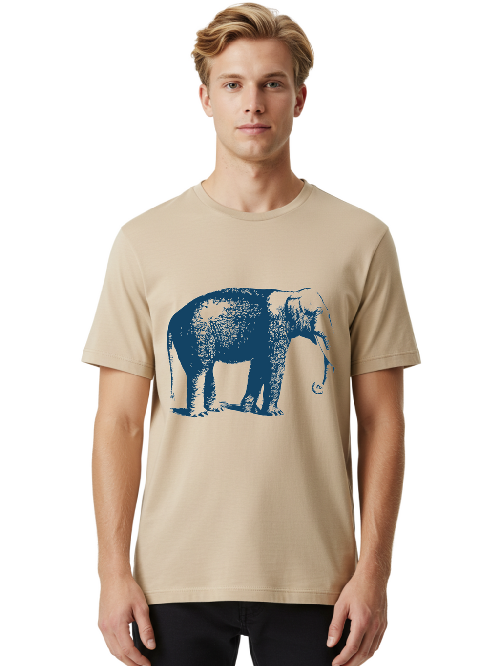 Elephant Men'S Graphic Tee, 100% Cotton, Comfortable Casual Summer Wear, Machine Washable, Wildlife, Majestic Animal, Large Mammal, Trunk, Tusks, Nature, Conservation, Endangered Species, Pachyderm Aae671