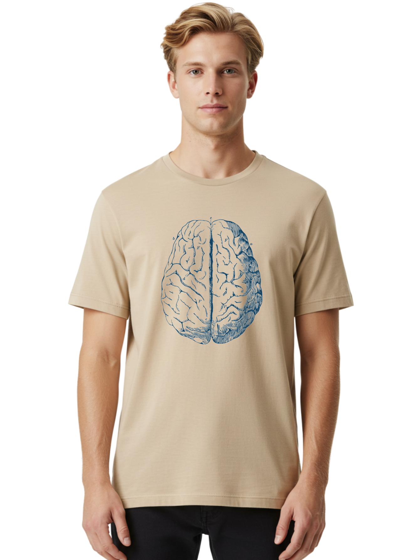 Vintage Brain Diagram Men'S Graphic Tee, 100% Cotton, Comfortable Casual Summer Wear, Machine Washable, Human Brain Illustration, Brain Anatomy, Cerebral Cortex, Neuroscience, Cognitive Function, Brain Structure, Left And Right Hemispheres, Aae786