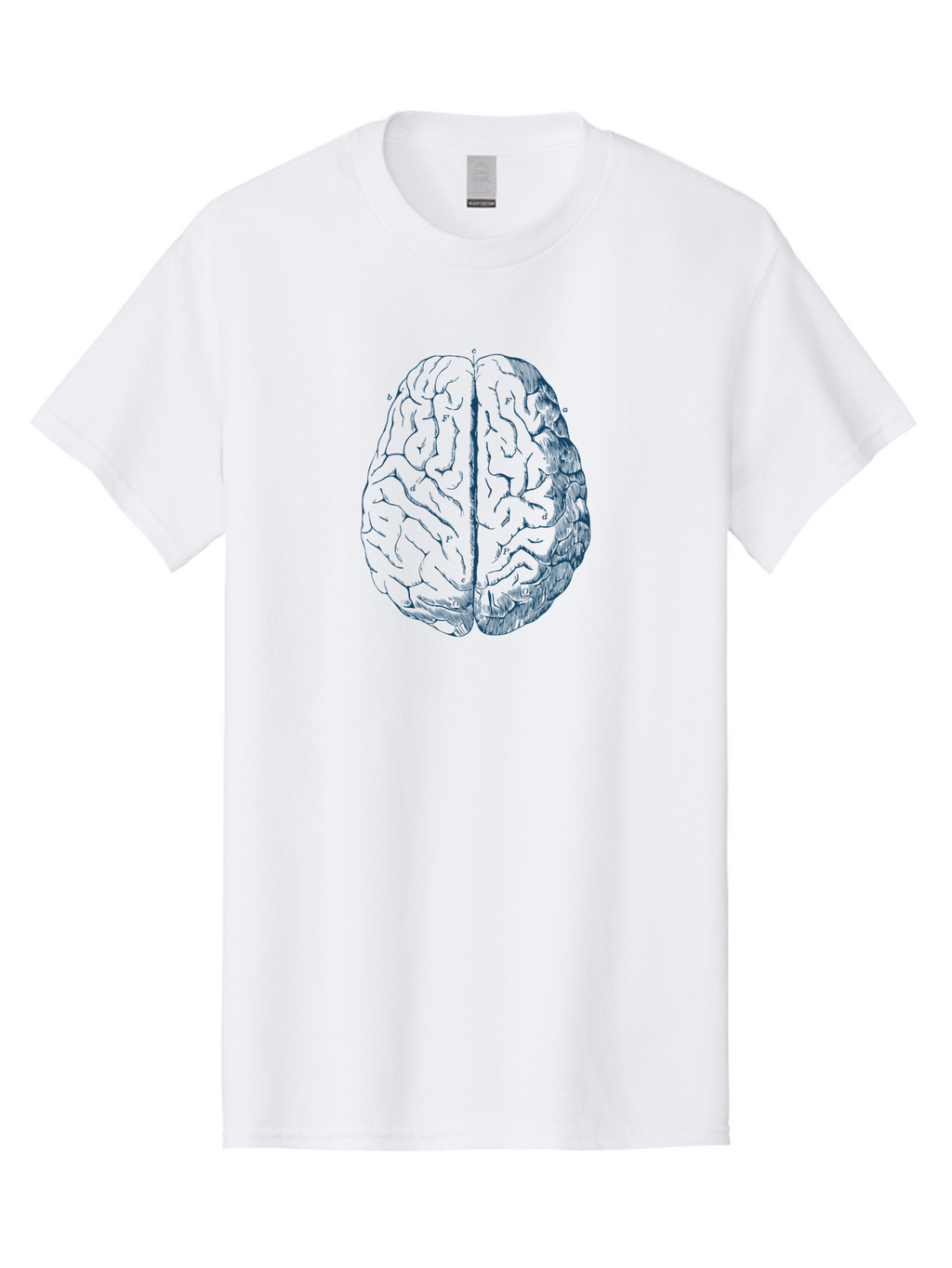 Vintage Brain Diagram Men'S Graphic Tee, 100% Cotton, Comfortable Casual Summer Wear, Machine Washable, Human Brain Illustration, Brain Anatomy, Cerebral Cortex, Neuroscience, Cognitive Function, Brain Structure, Left And Right Hemispheres, Aae786