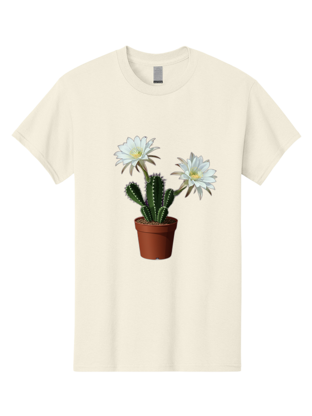 Cactus-Flowers-1 Men'S Graphic Tee, 100% Cotton, Comfortable Casual Summer Wear, Machine Washable, White Cactus Flowers, Cactus In Terracotta Pot, Desert Flora, Succulent Plants, Flowering Cacti, Indoor Plants, Potted Cactus, Blooming Cactus Bac738