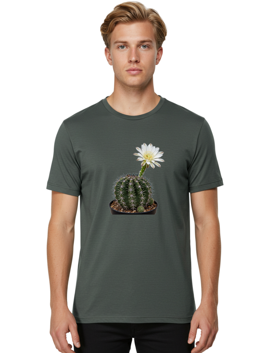Cactus-With-White-Flower Men'S Graphic Tee, 100% Cotton, Comfortable Casual Summer Wear, Machine Washable, Cactus Plant, White Flower, Yellow Center, Spiky Texture, Potted Cactus, Succulent Bloom, Desert Flora, Floral Beauty, Cactus Flower, Bac769