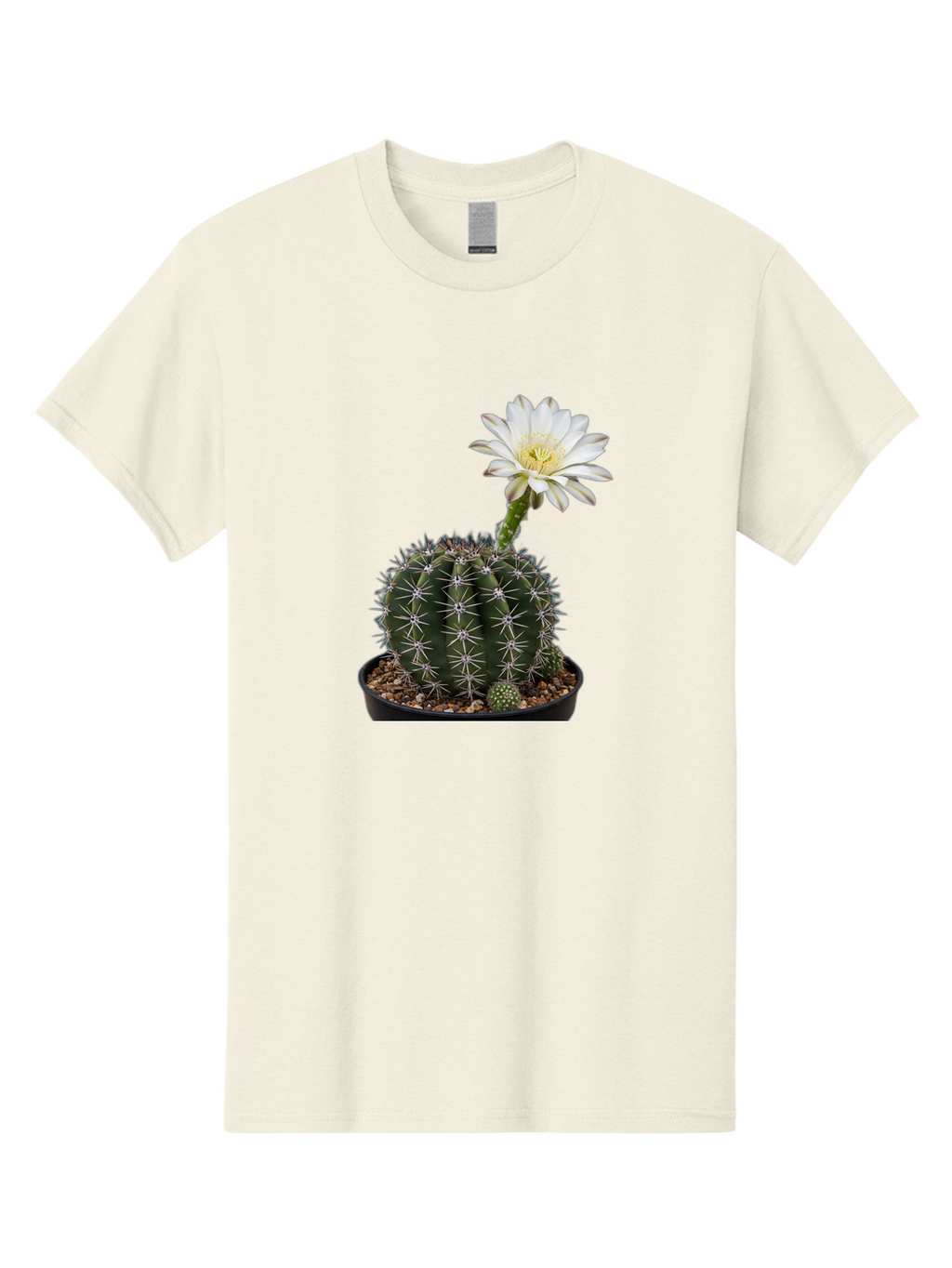 Cactus-With-White-Flower Men'S Graphic Tee, 100% Cotton, Comfortable Casual Summer Wear, Machine Washable, Cactus Plant, White Flower, Yellow Center, Spiky Texture, Potted Cactus, Succulent Bloom, Desert Flora, Floral Beauty, Cactus Flower, Bac769