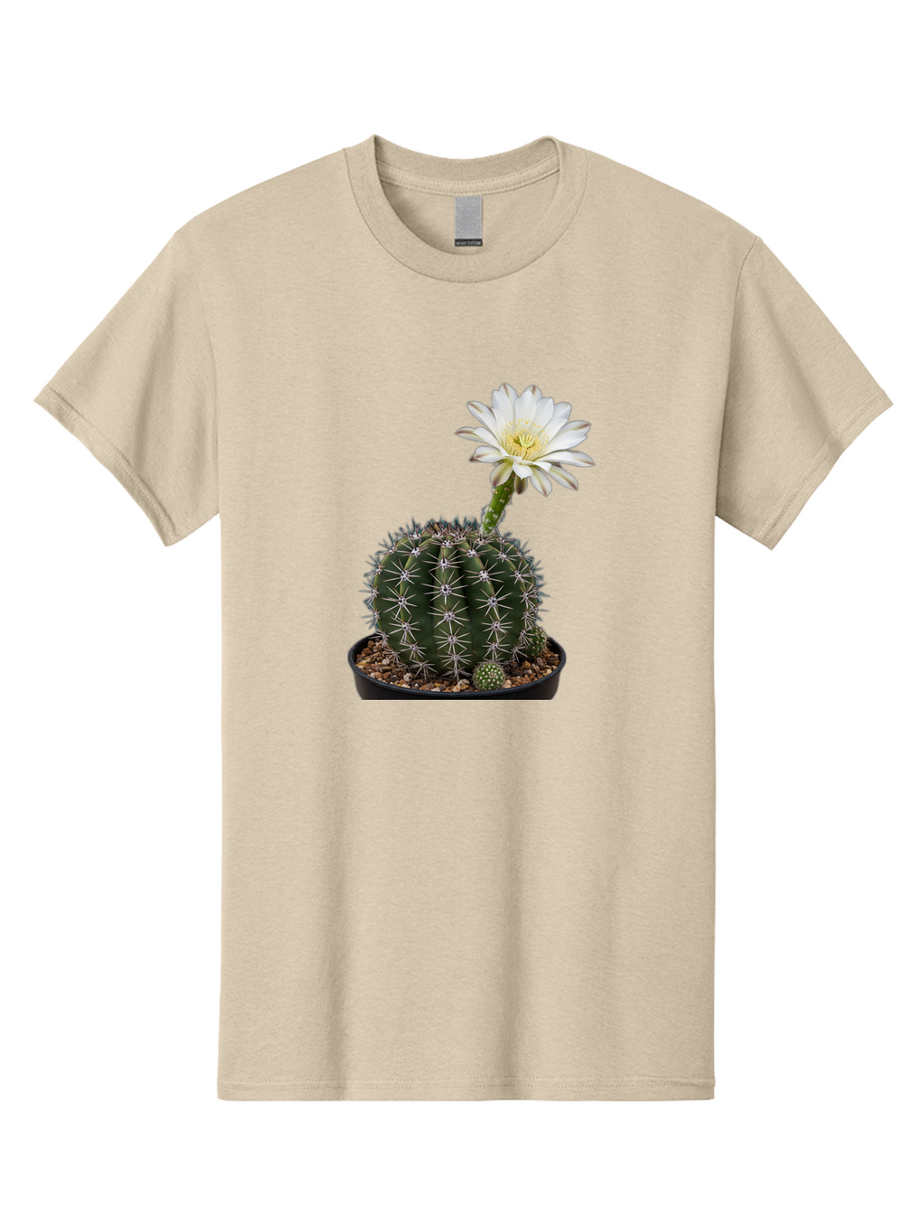 Cactus-With-White-Flower Men'S Graphic Tee, 100% Cotton, Comfortable Casual Summer Wear, Machine Washable, Cactus Plant, White Flower, Yellow Center, Spiky Texture, Potted Cactus, Succulent Bloom, Desert Flora, Floral Beauty, Cactus Flower, Bac769