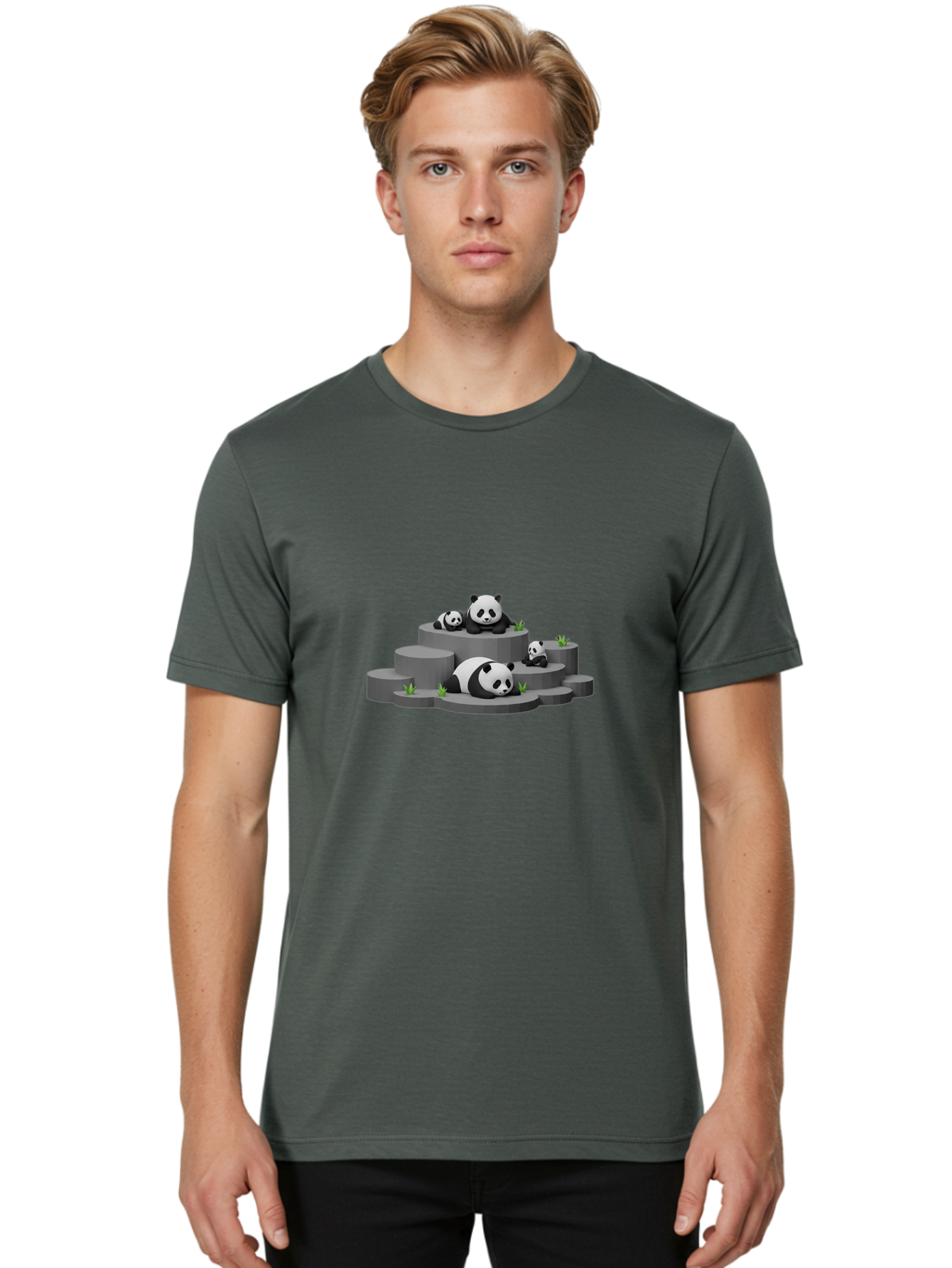 Panda-Family-2 Men'S Graphic Tee, 100% Cotton, Comfortable Casual Summer Wear, Machine Washable, Panda Bears, Family Portrait, Cute Animals, 3D Rendering, Panda Cubs, Gray Platforms, Green Plants, Cartoon Style, Adorable Creatures, Bae587