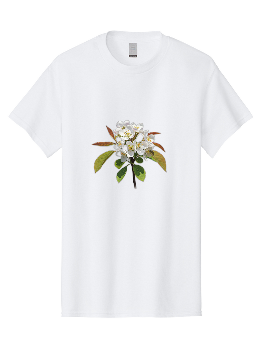 Pear-Blossom Men'S Graphic Tee, 100% Cotton, Comfortable Casual Summer Wear, Machine Washable, Vintage Camera, Old Camera, Antique Camera, Black Camera, Classic Photography, Photography Equipment, Nostalgic Device, Film Camera, Camera Art Baj157