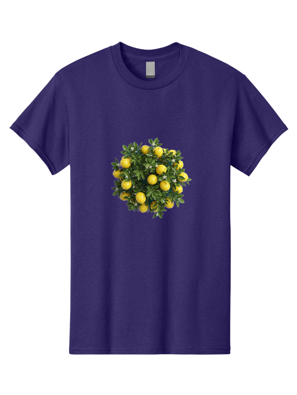 Lemons Men'S Graphic Tee, 100% Cotton, Comfortable Casual Summer Wear, Machine Washable, Vintage Camera, Old Camera, Antique Camera, Black Camera, Classic Photography, Photography Equipment, Nostalgic Device, Film Camera, Camera Art Bak811