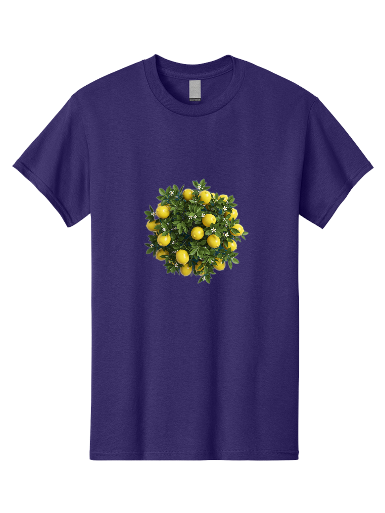 Lemons Men'S Graphic Tee, 100% Cotton, Comfortable Casual Summer Wear, Machine Washable, Vintage Camera, Old Camera, Antique Camera, Black Camera, Classic Photography, Photography Equipment, Nostalgic Device, Film Camera, Camera Art Bak811