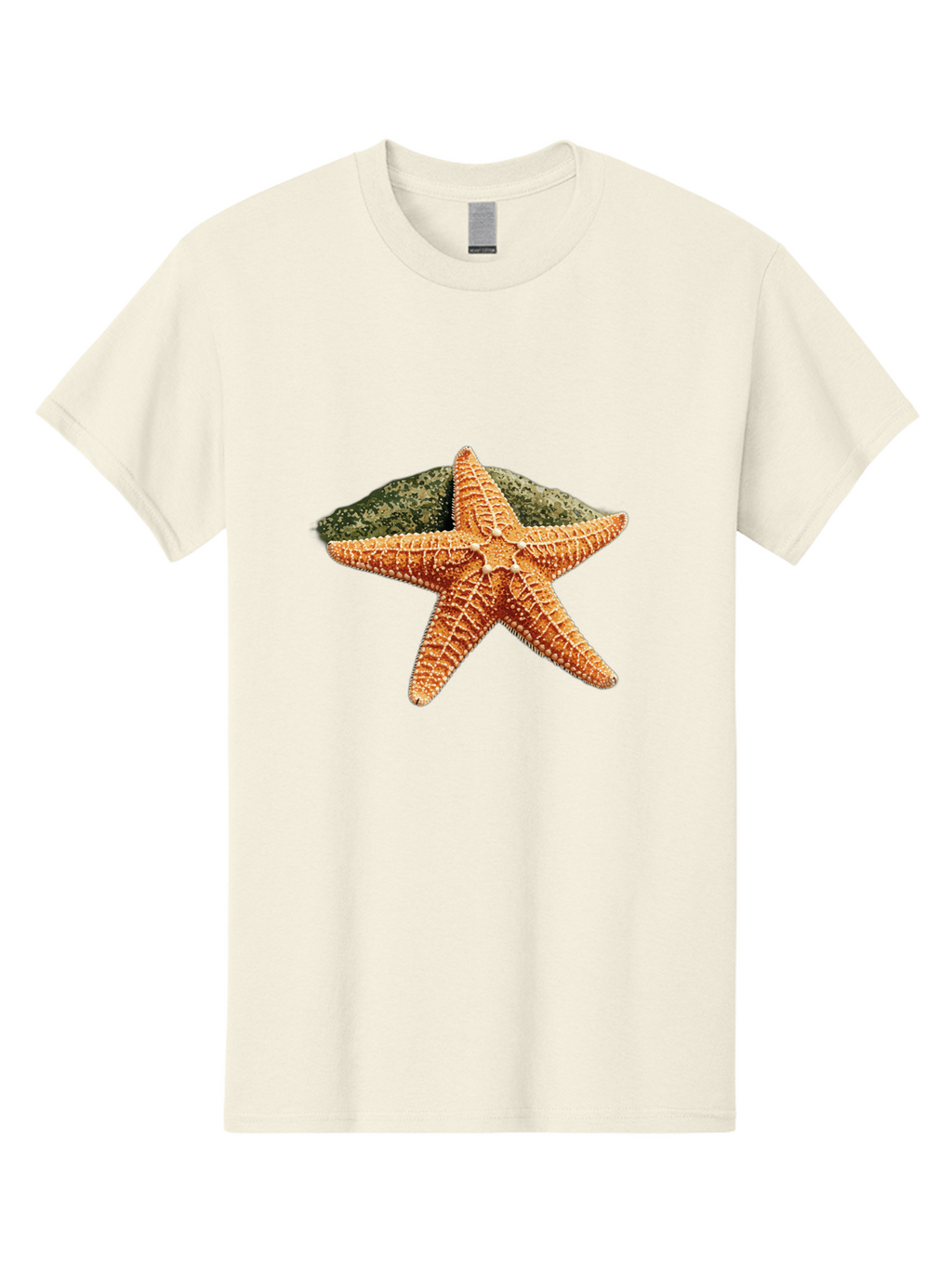 Starfish-3 Men'S Graphic Tee, 100% Cotton, Comfortable Casual Summer Wear, Machine Washable, Vintage Camera, Old Camera, Antique Camera, Black Camera, Classic Photography, Photography Equipment, Nostalgic Device, Film Camera, Camera Art Bal396