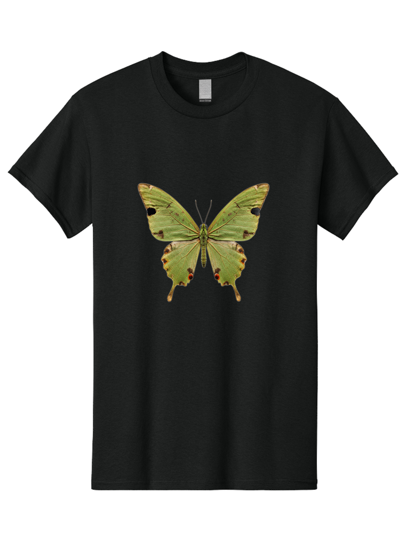 Butterfly-1 Men'S Graphic Tee, 100% Cotton, Comfortable Casual Summer Wear, Machine Washable, Vintage Camera, Old Camera, Antique Camera, Black Camera, Classic Photography, Photography Equipment, Nostalgic Device, Film Camera, Camera Art Bal909