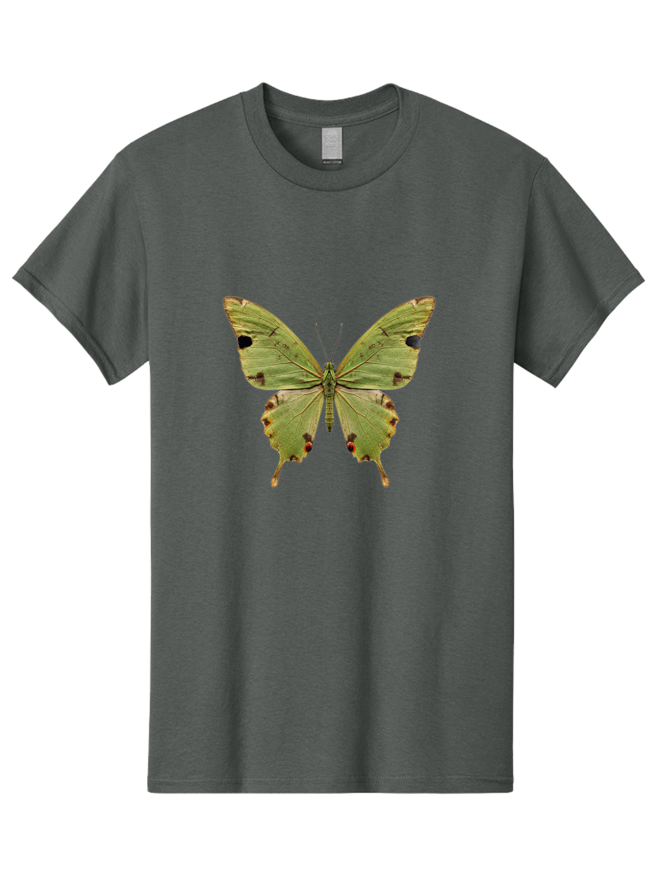 Butterfly-1 Men'S Graphic Tee, 100% Cotton, Comfortable Casual Summer Wear, Machine Washable, Vintage Camera, Old Camera, Antique Camera, Black Camera, Classic Photography, Photography Equipment, Nostalgic Device, Film Camera, Camera Art Bal909