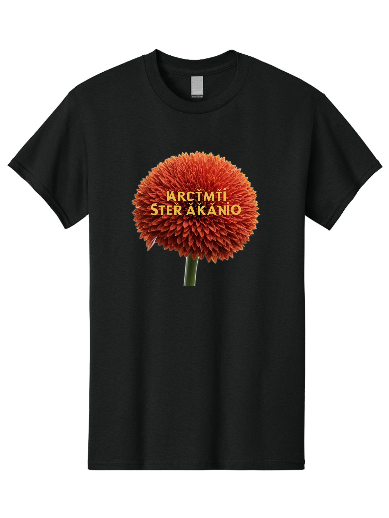 Arctmti-Ster-Akanio Men'S Graphic Tee, 100% Cotton, Comfortable Casual Summer Wear, Machine Washable, Vintage Camera, Old Camera, Antique Camera, Black Camera, Classic Photography, Photography Equipment, Nostalgic Device, Film Camera, Bao079