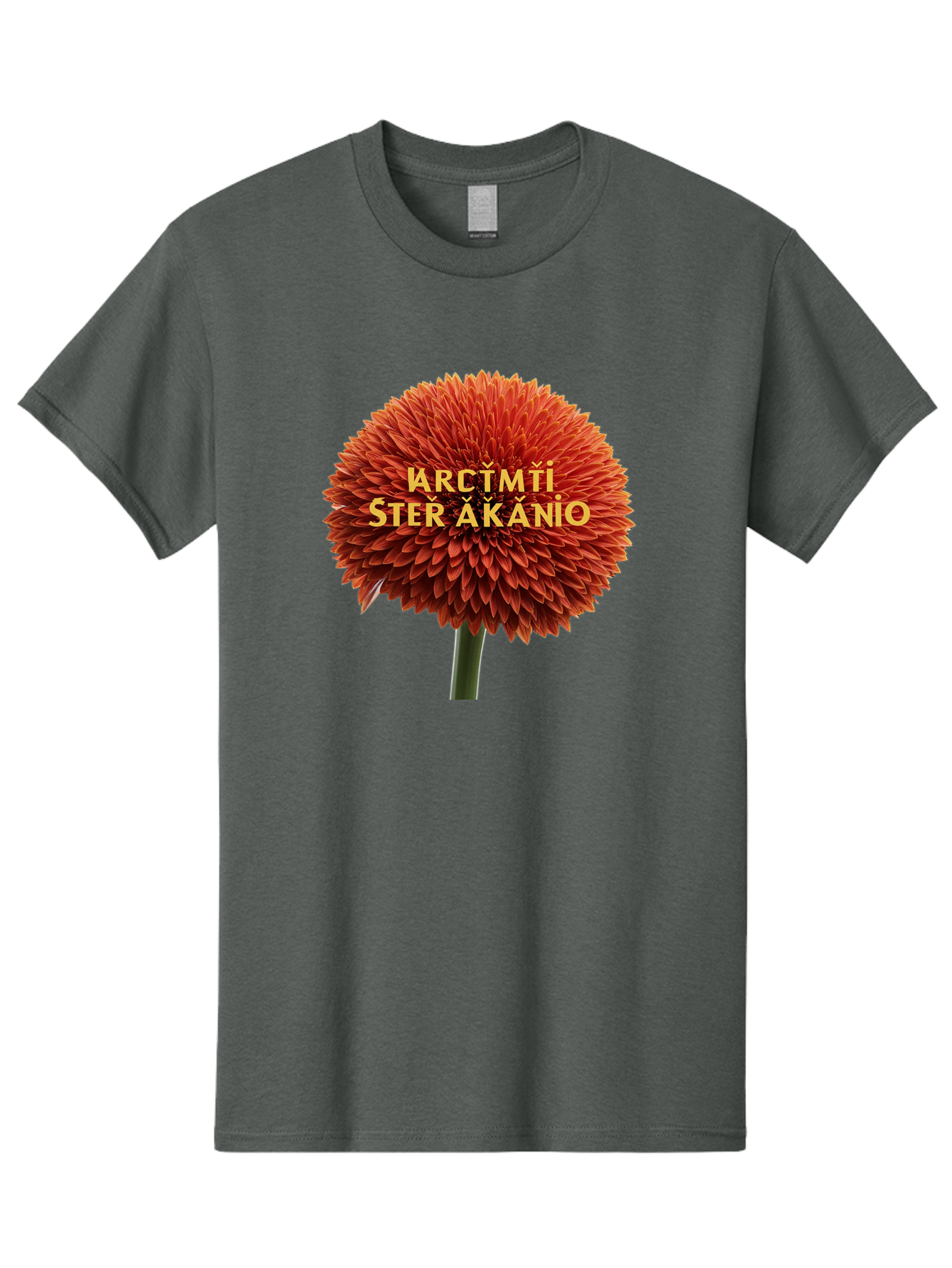 Arctmti-Ster-Akanio Men'S Graphic Tee, 100% Cotton, Comfortable Casual Summer Wear, Machine Washable, Vintage Camera, Old Camera, Antique Camera, Black Camera, Classic Photography, Photography Equipment, Nostalgic Device, Film Camera, Bao079