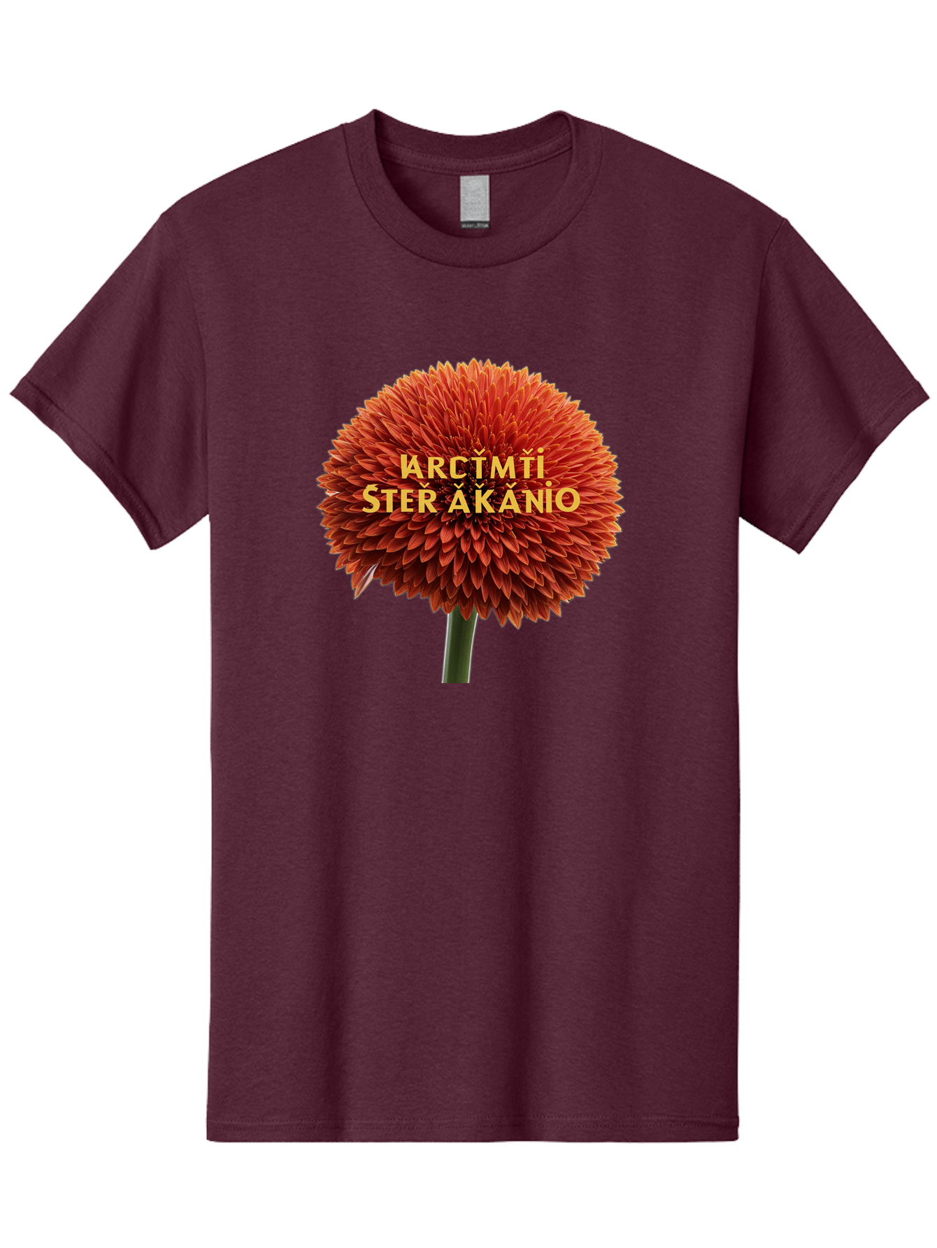 Arctmti-Ster-Akanio Men'S Graphic Tee, 100% Cotton, Comfortable Casual Summer Wear, Machine Washable, Vintage Camera, Old Camera, Antique Camera, Black Camera, Classic Photography, Photography Equipment, Nostalgic Device, Film Camera, Bao079