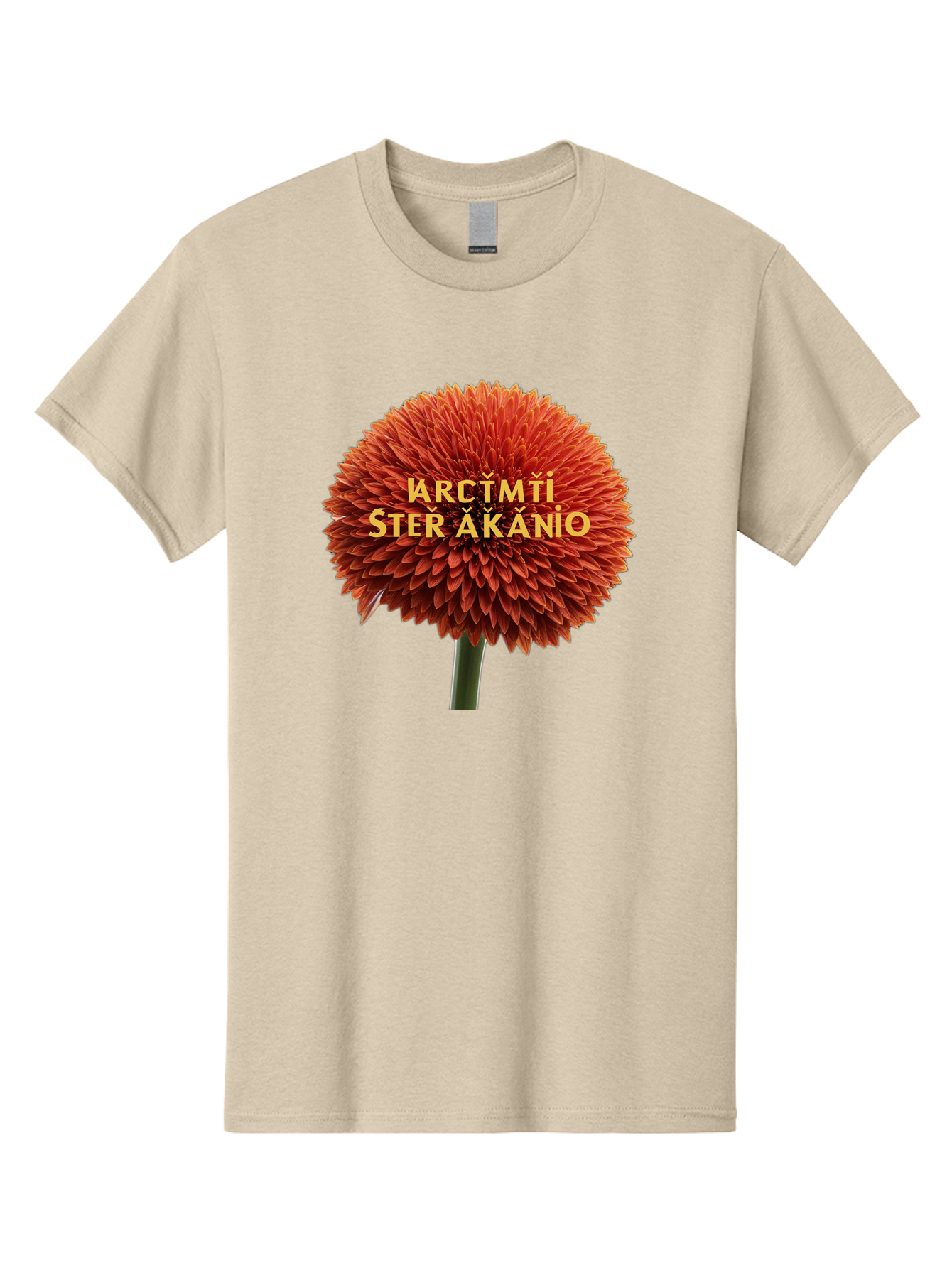 Arctmti-Ster-Akanio Men'S Graphic Tee, 100% Cotton, Comfortable Casual Summer Wear, Machine Washable, Vintage Camera, Old Camera, Antique Camera, Black Camera, Classic Photography, Photography Equipment, Nostalgic Device, Film Camera, Bao079