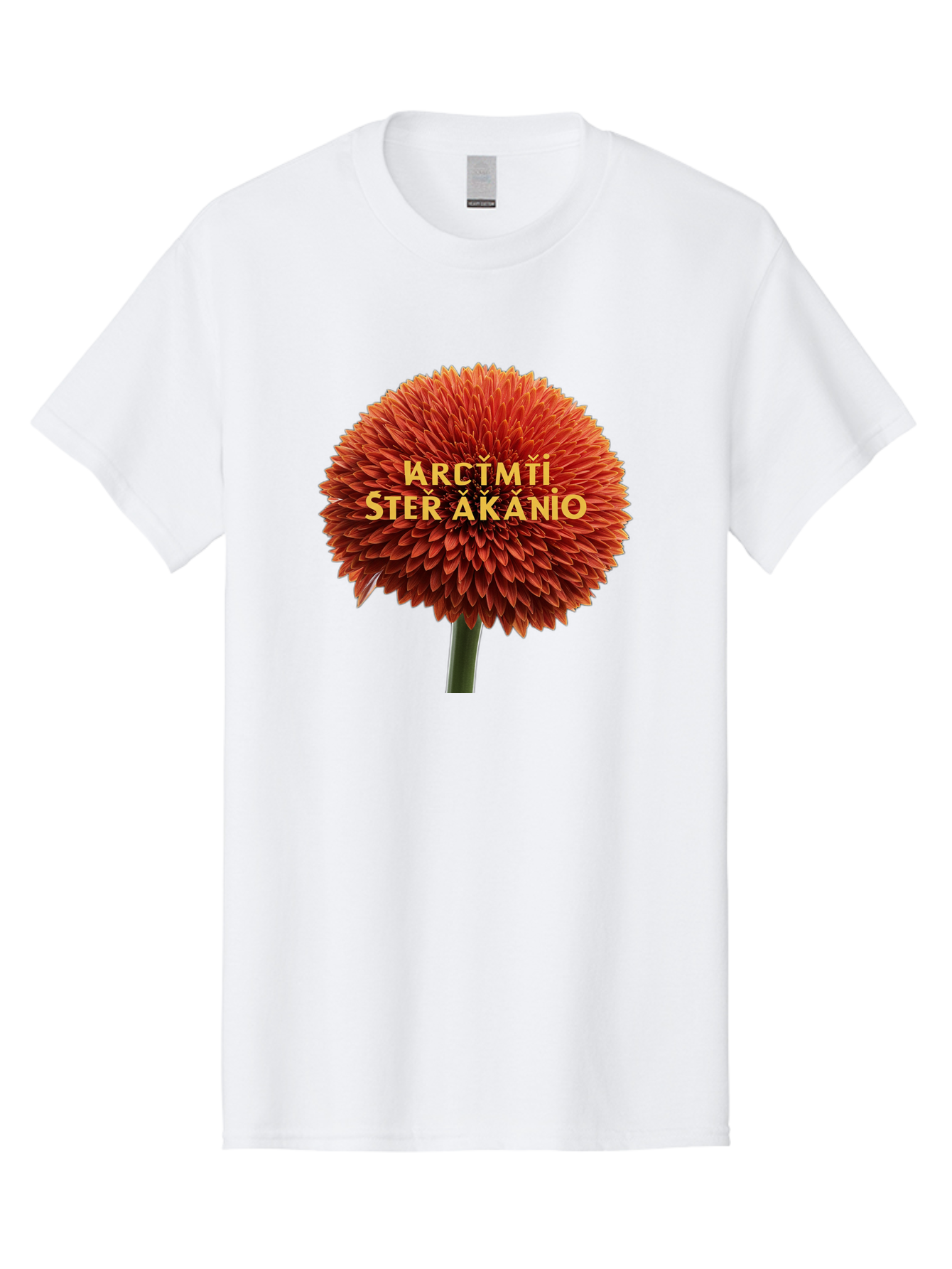 Arctmti-Ster-Akanio Men'S Graphic Tee, 100% Cotton, Comfortable Casual Summer Wear, Machine Washable, Vintage Camera, Old Camera, Antique Camera, Black Camera, Classic Photography, Photography Equipment, Nostalgic Device, Film Camera, Bao079