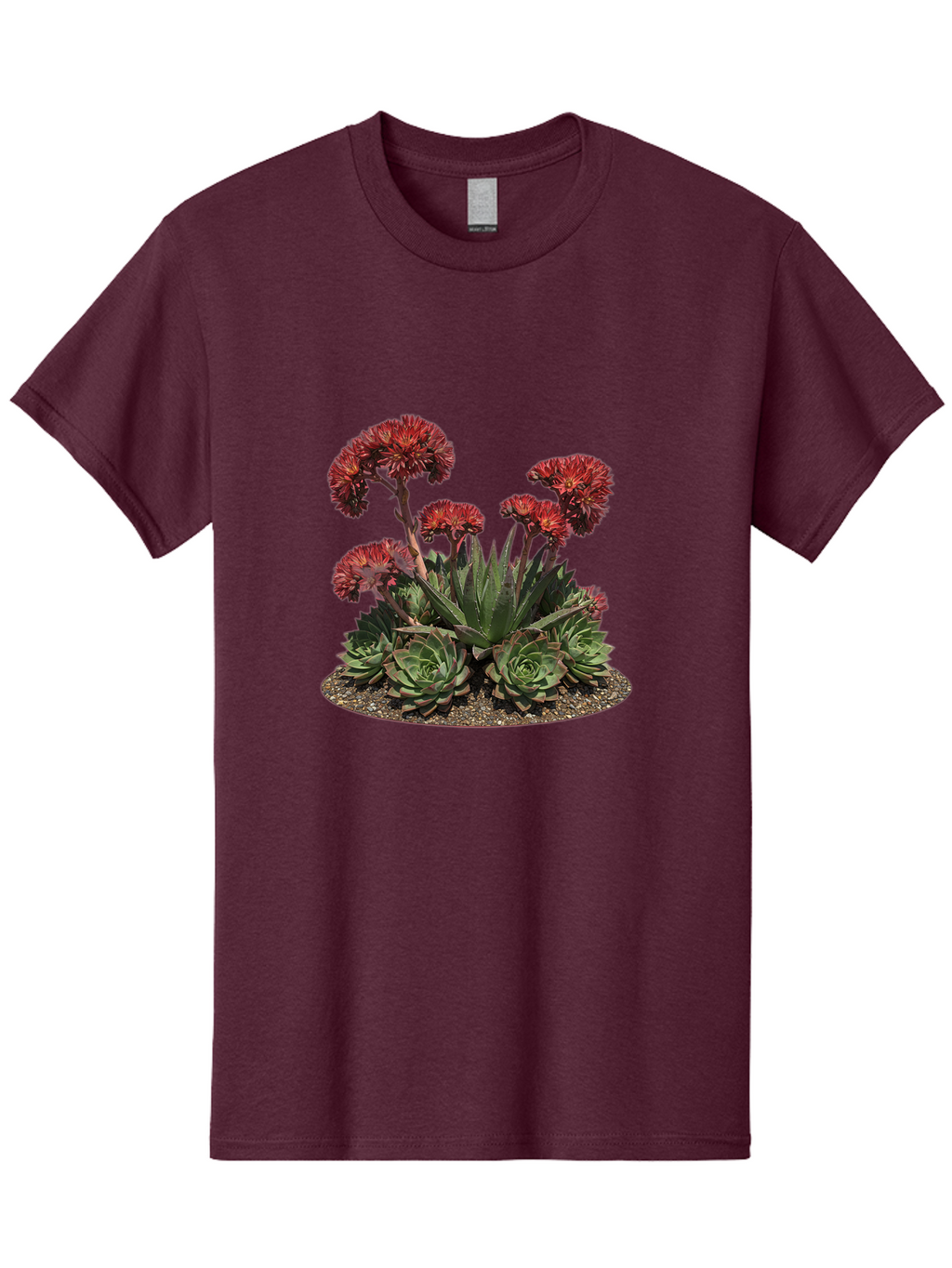 Sempervivum-Tectorum Men'S Graphic Tee, 100% Cotton, Comfortable Casual Summer Wear, Machine Washable, Vintage Camera, Old Camera, Antique Camera, Black Camera, Classic Photography, Photography Equipment, Nostalgic Device, Film Camera, Bao852